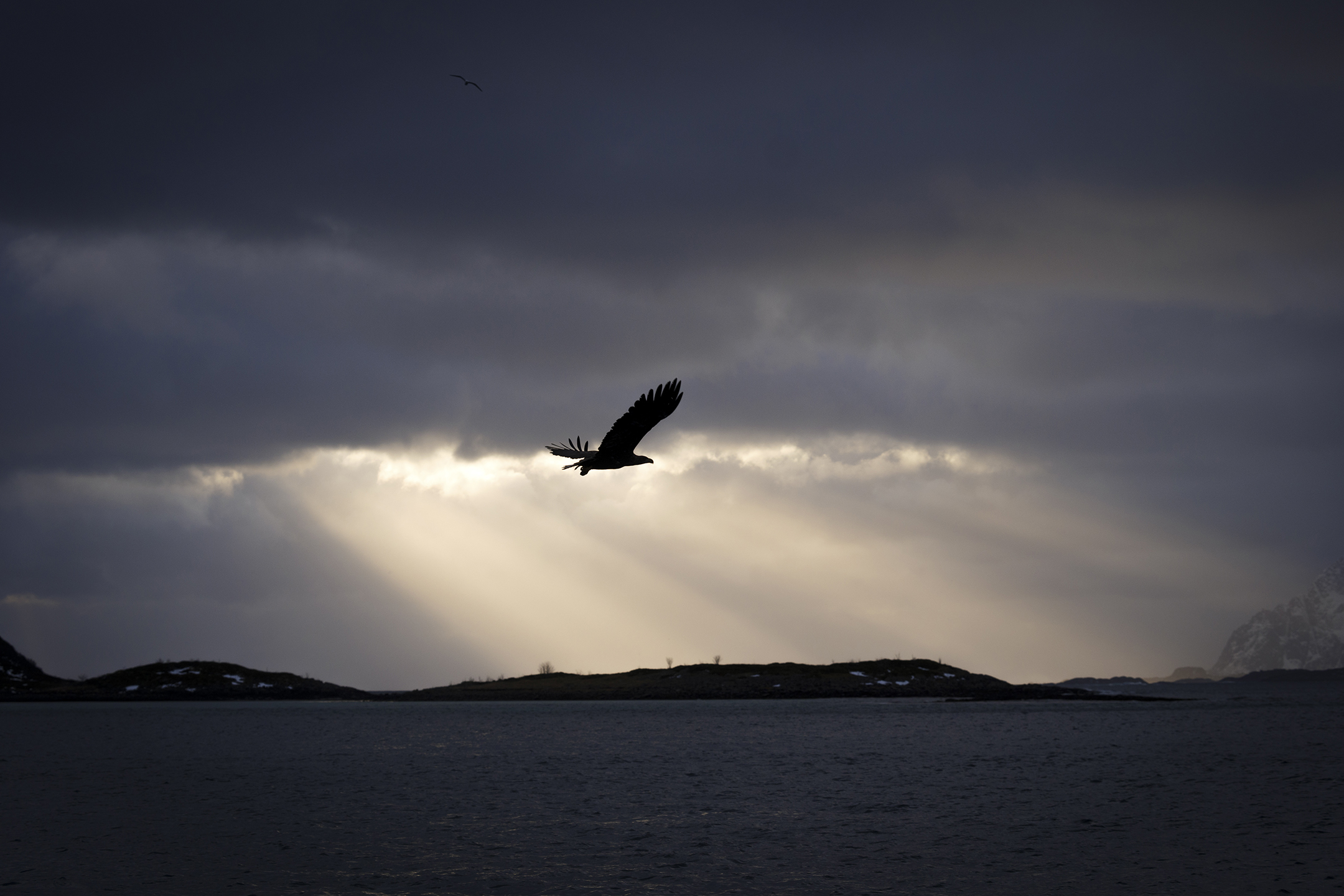 La luce e le aquile delle Lofoten