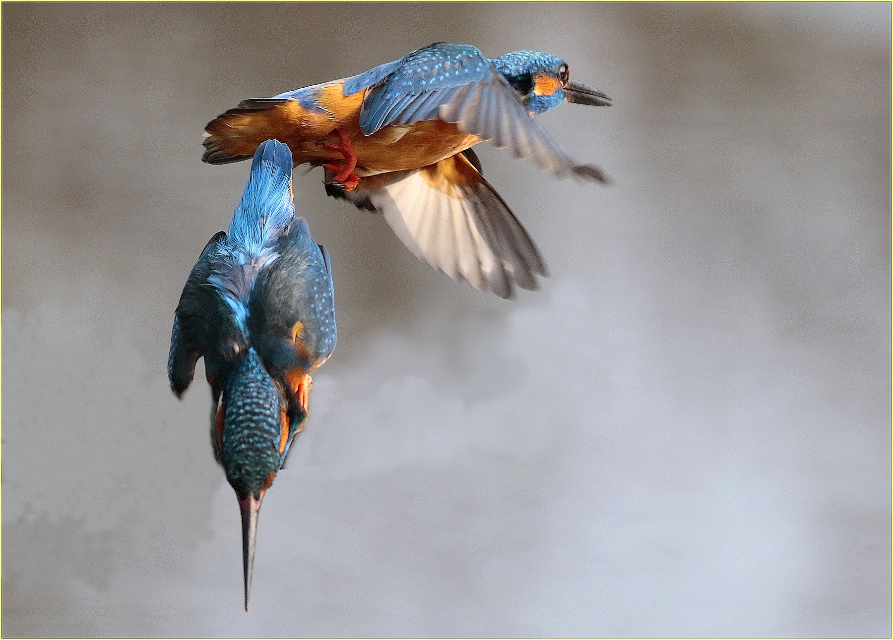 '' dangerous crossings ''