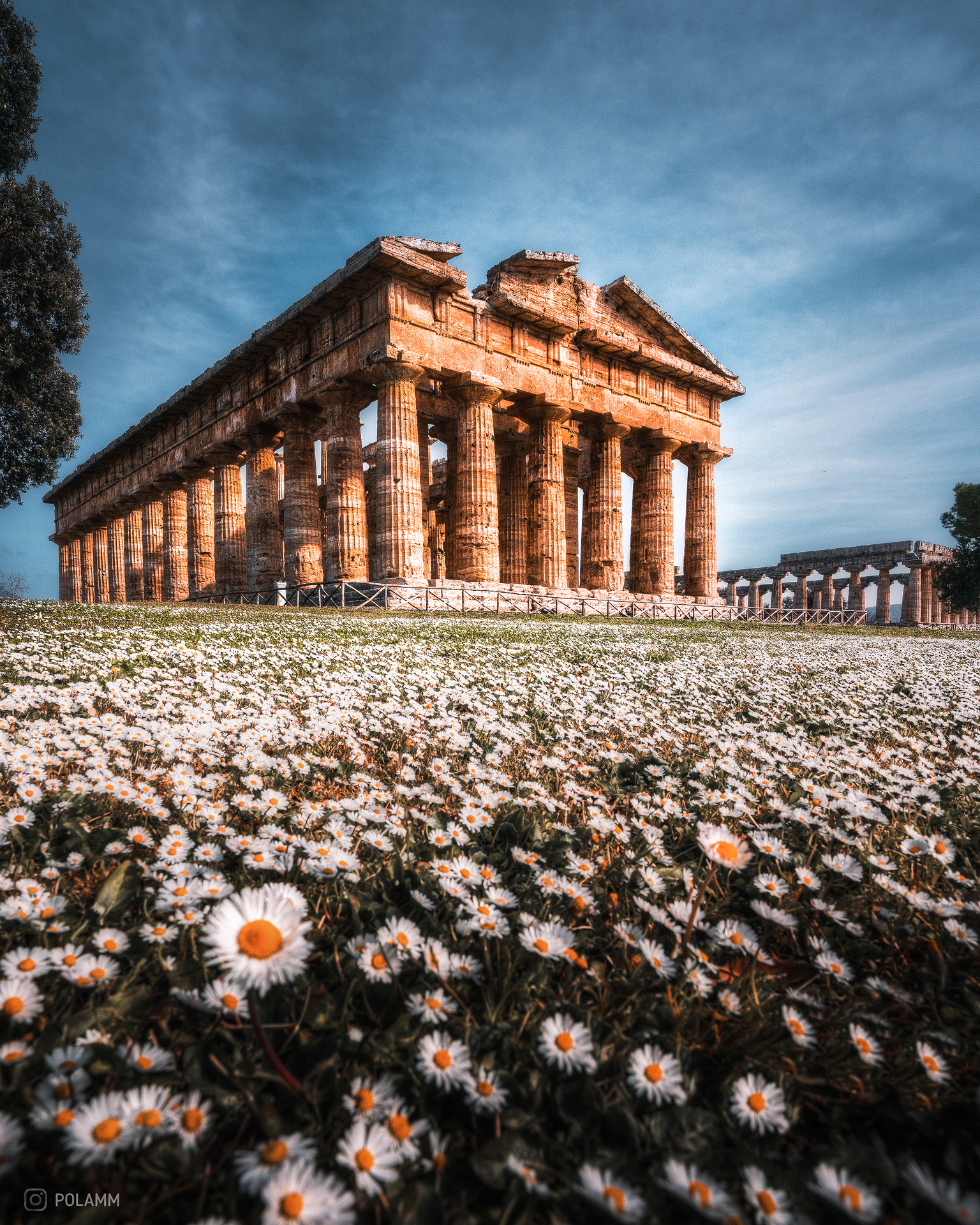Paestum Temples