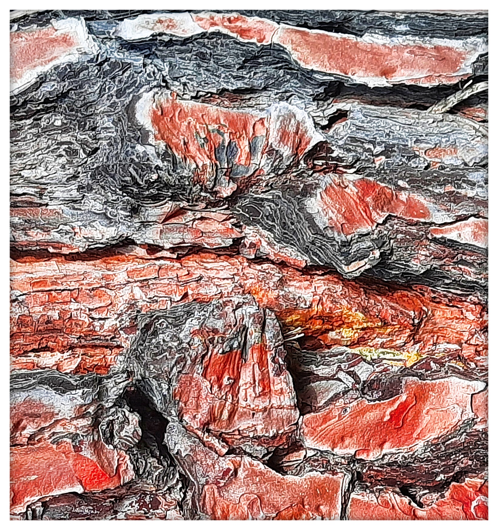 Cromatismi  Arborei