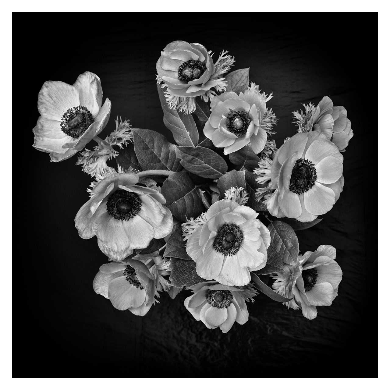 Carré floral N°3