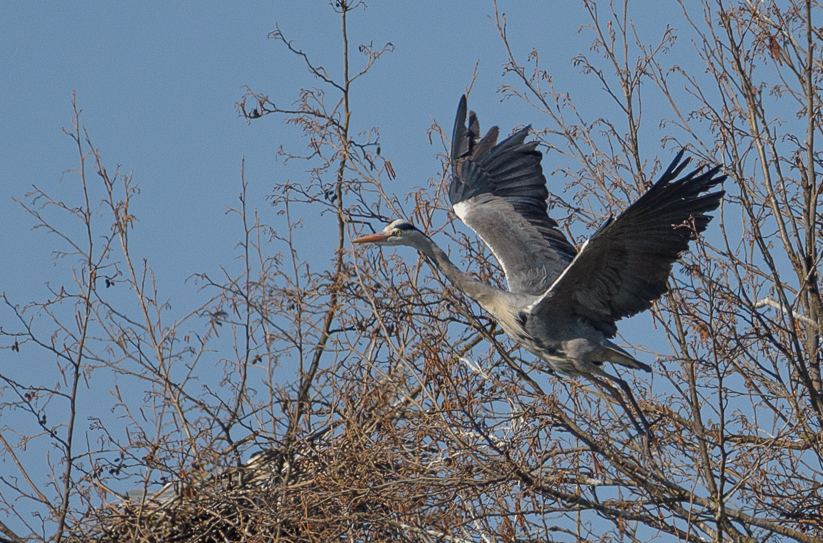 Dopo la cova, esco un attimo