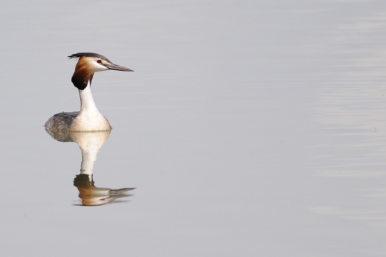 Specchio specchio delle mie brame