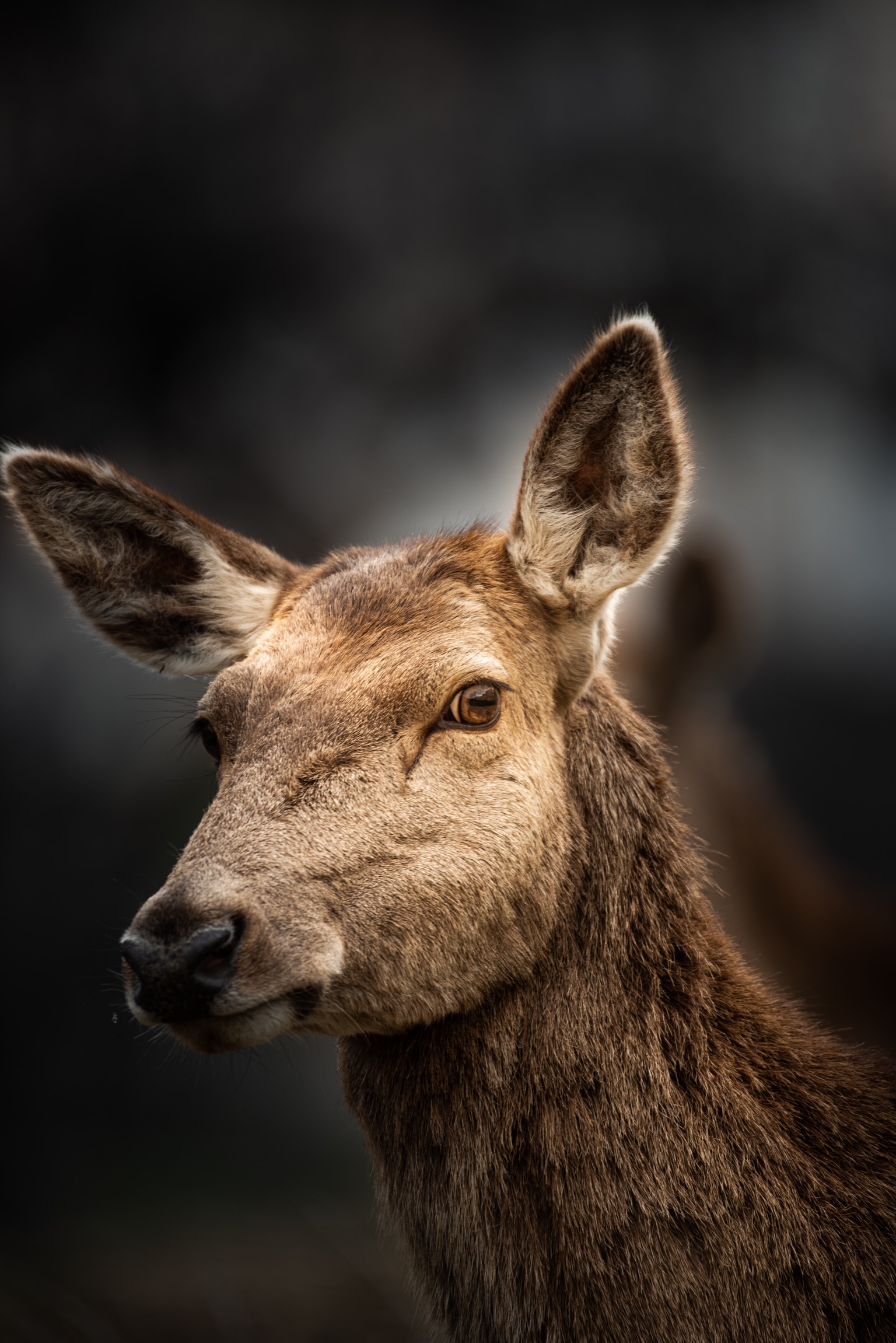 The essence of those few moments when you look at each ? oth...