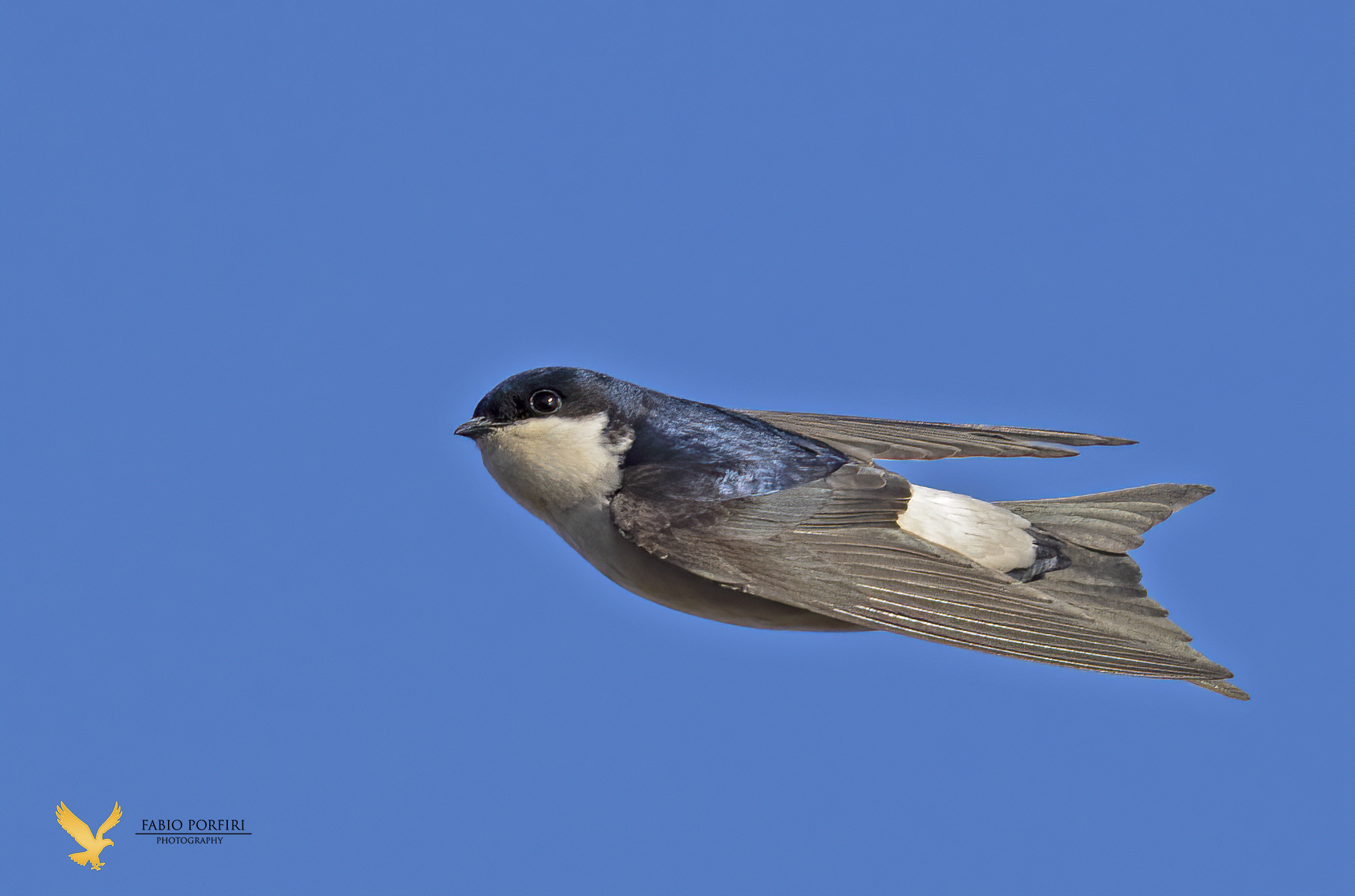 ma quando si fermano ?