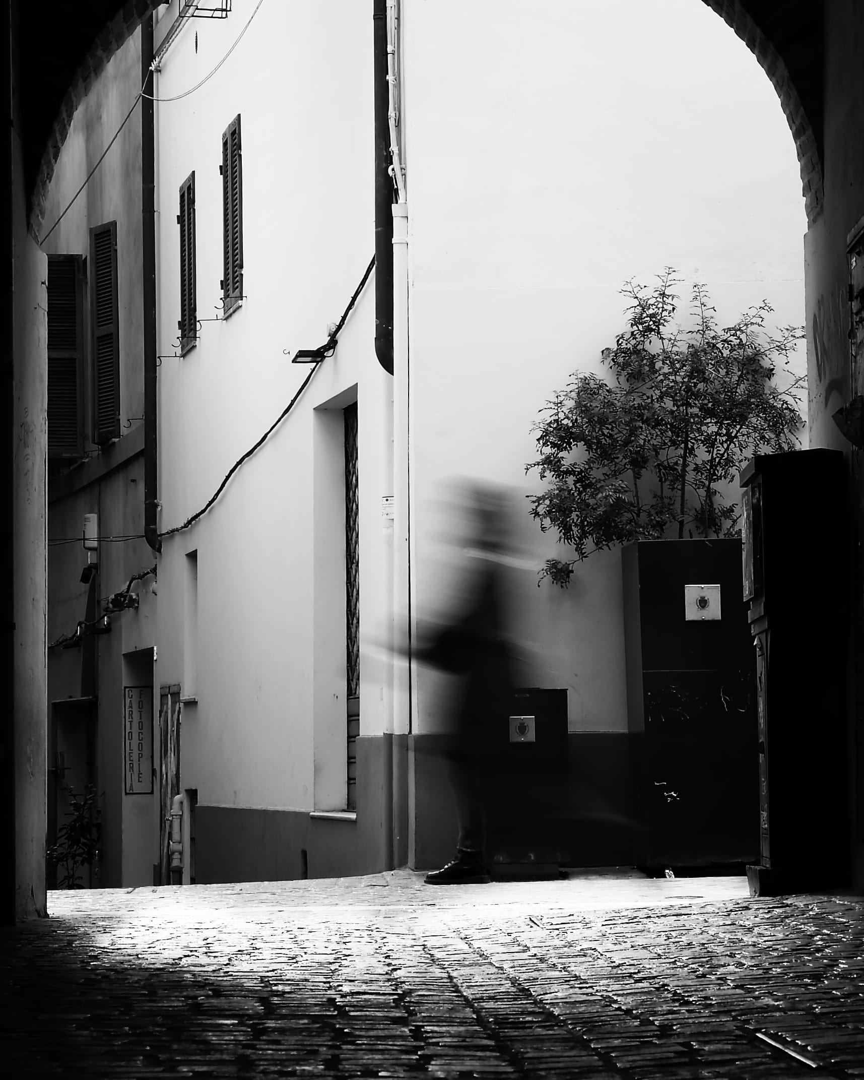 Ancona on the move...