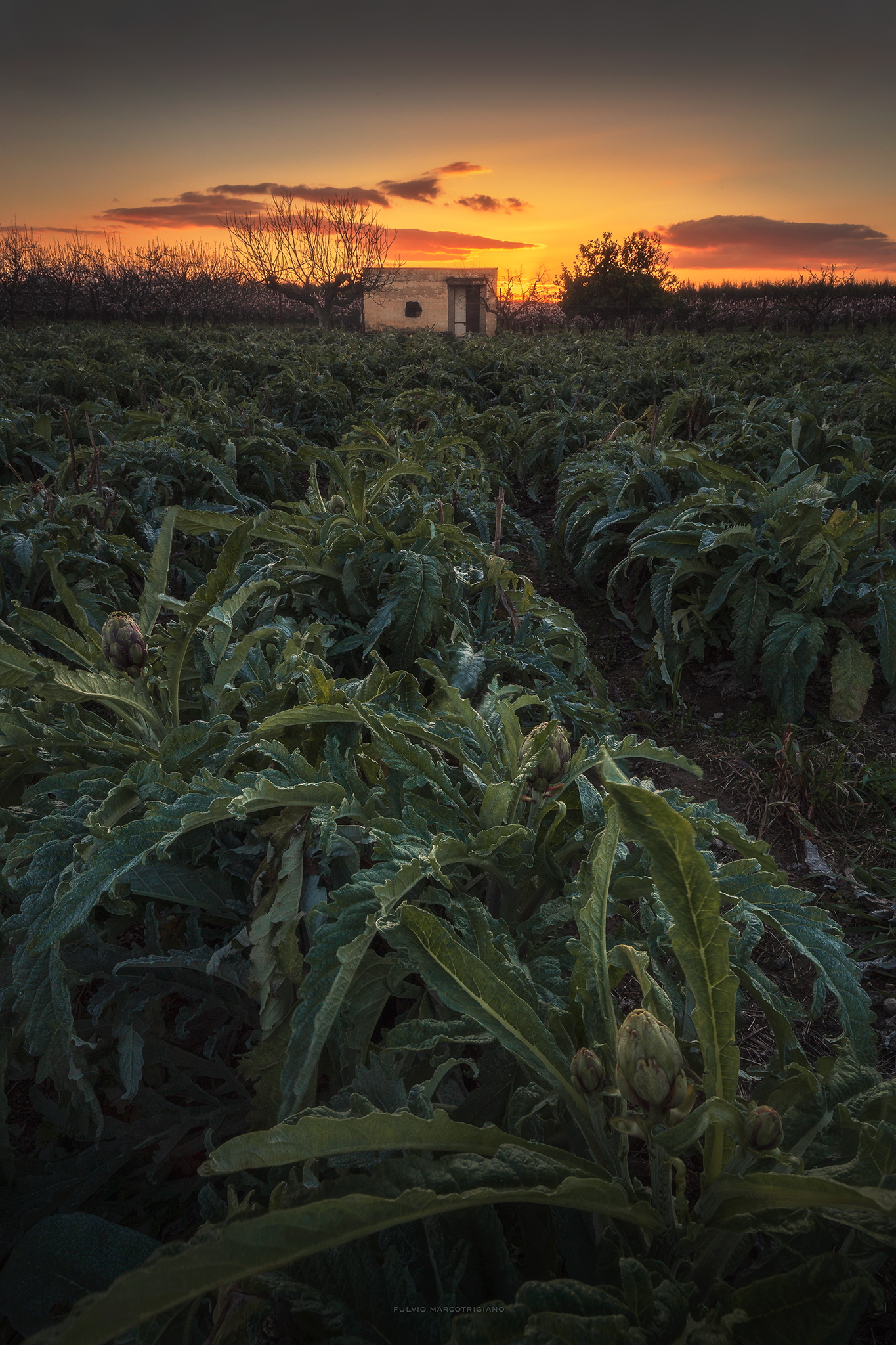 L'ultimo tramonto di questo inverno