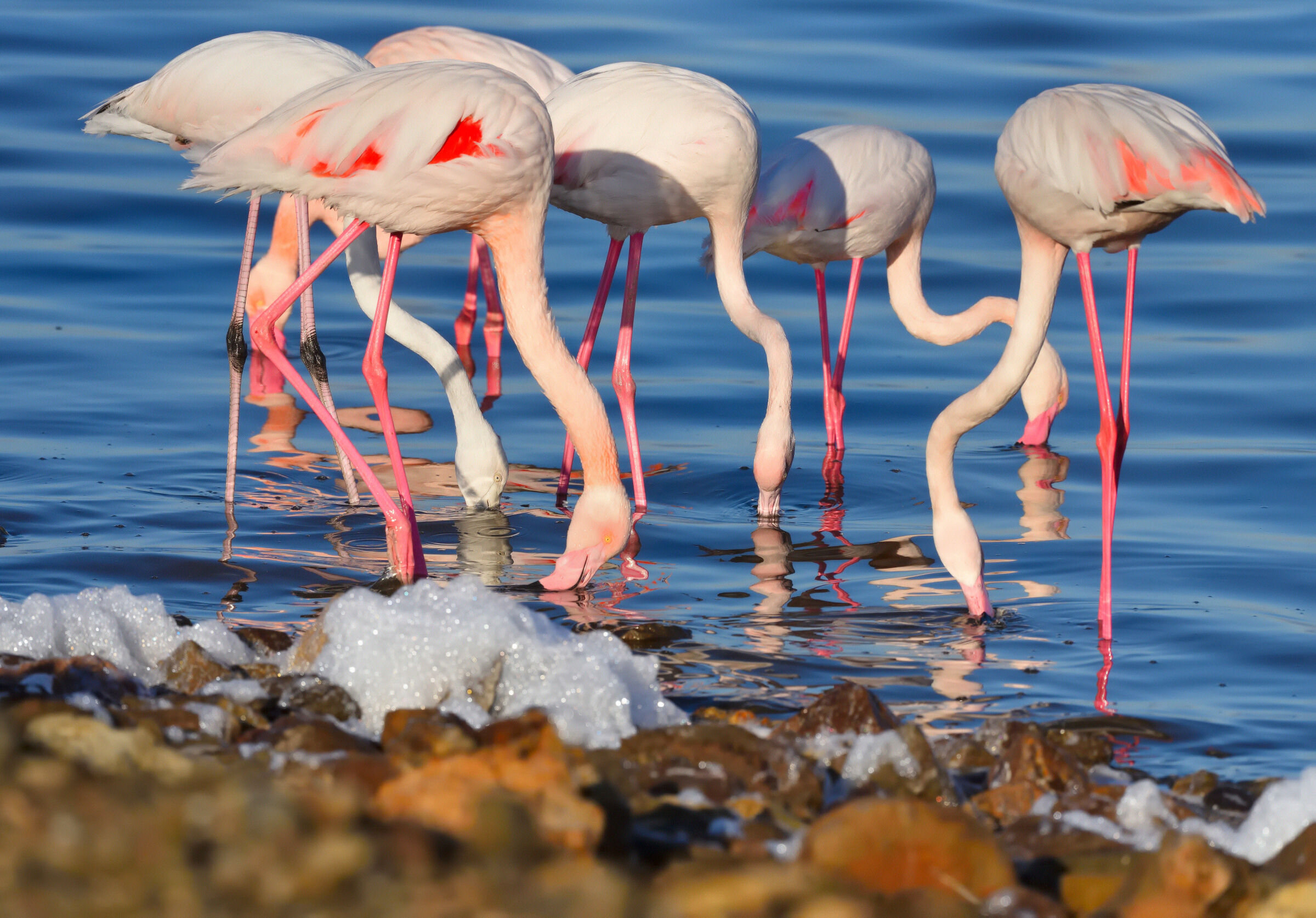 The colors of the lagoon
