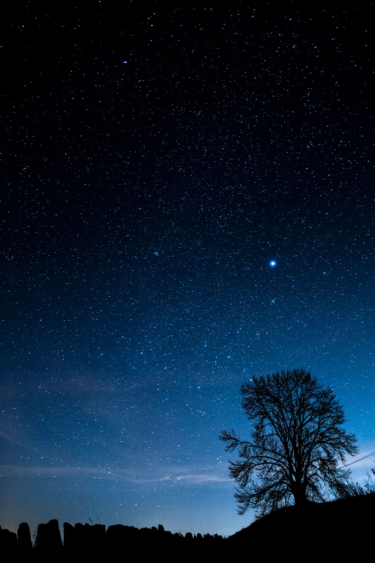 Da qualche parte in Lessinia