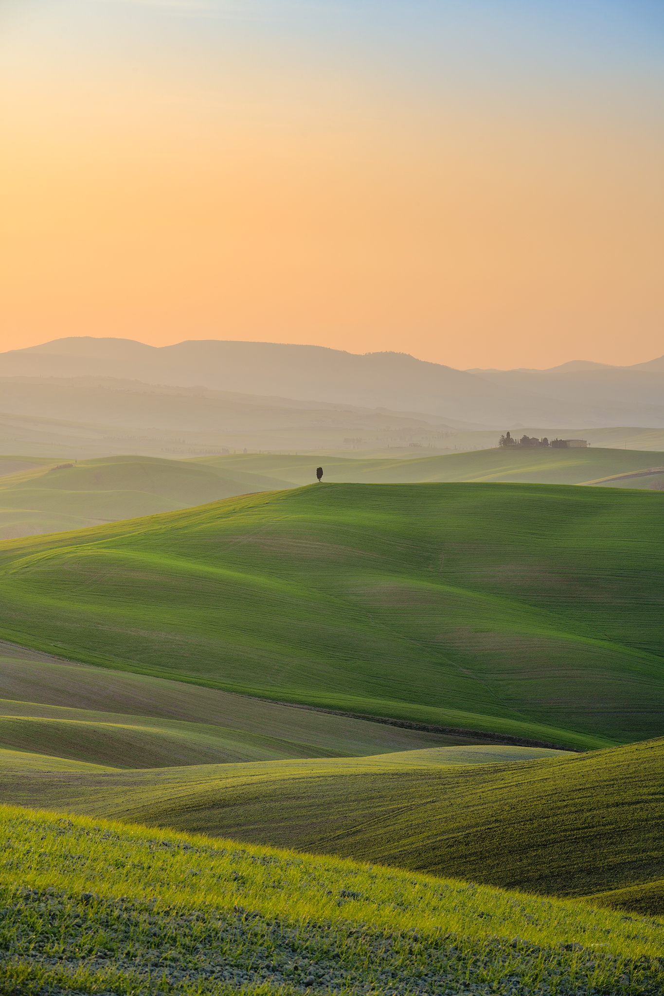 The soft colors of a sunrise in Val d'Orcia