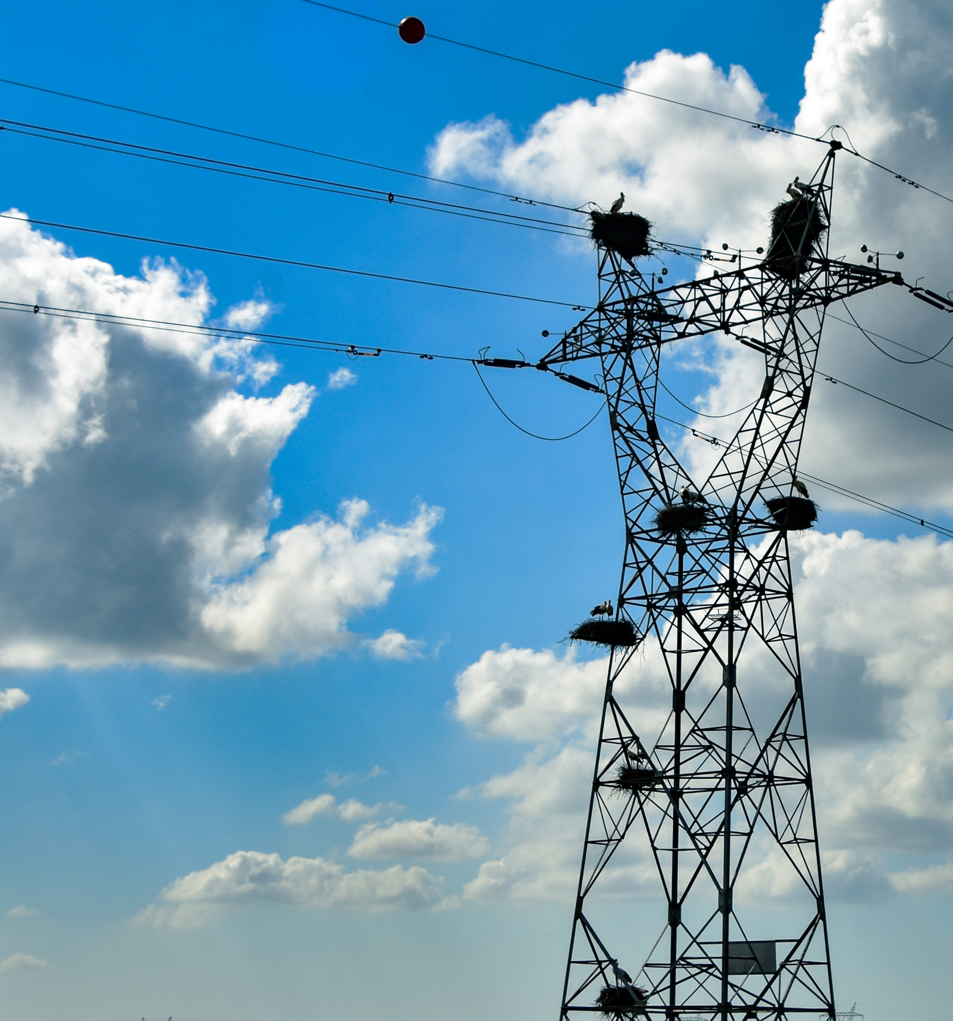 Condomino di Cicogne