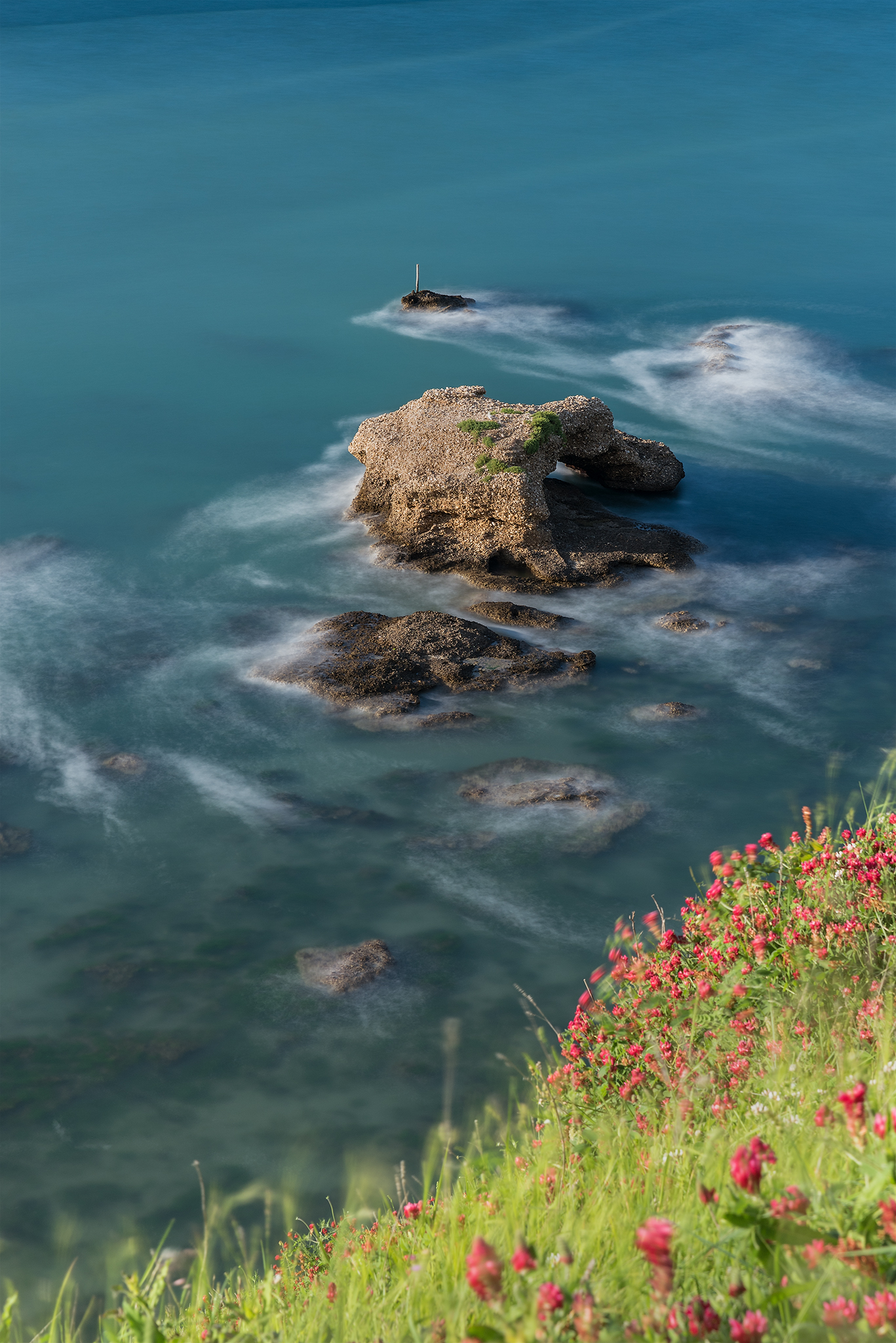 Riserva Naturale Regionale di Punta Aderci