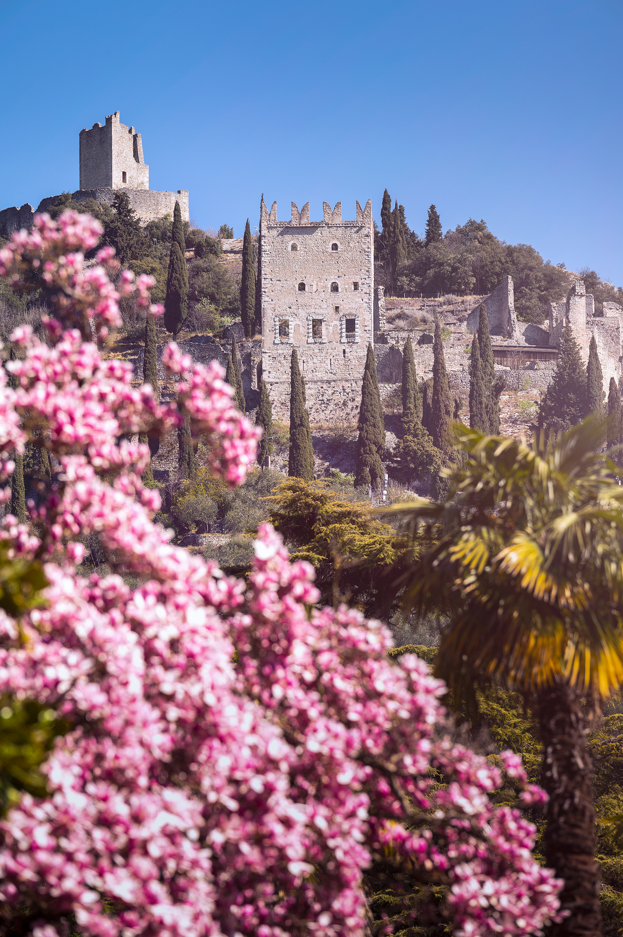 Castello di Arco
