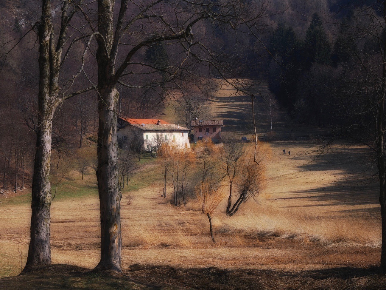 A languid spring morning
