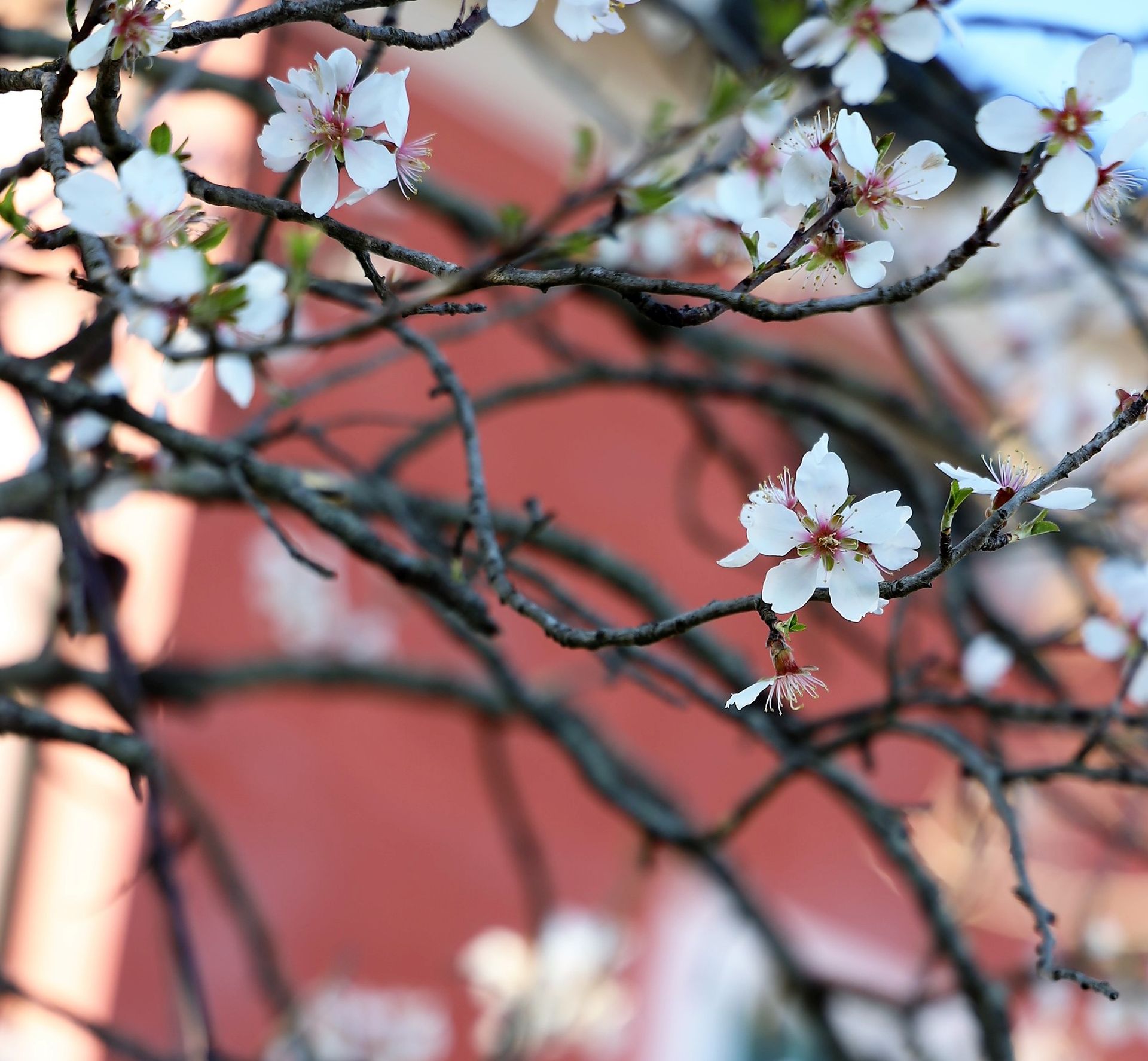 welcome spring, welcome spring