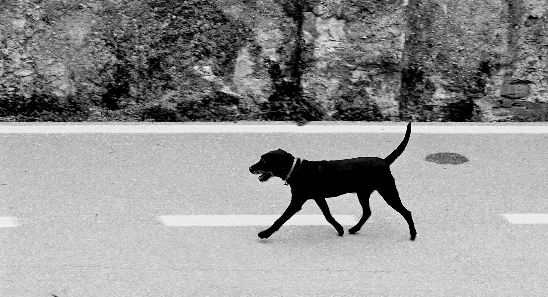 Beccato in contromano!