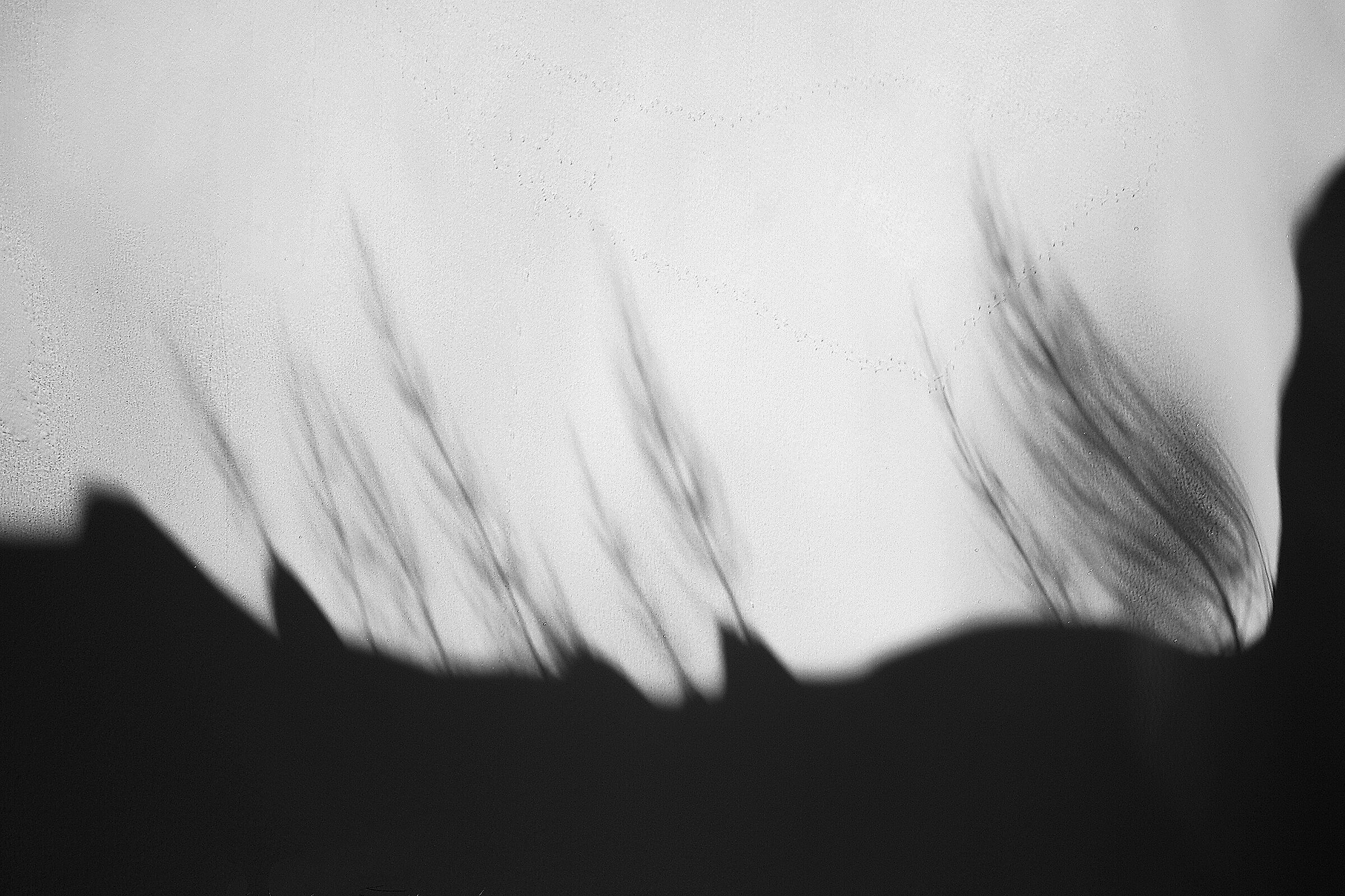 Ombre