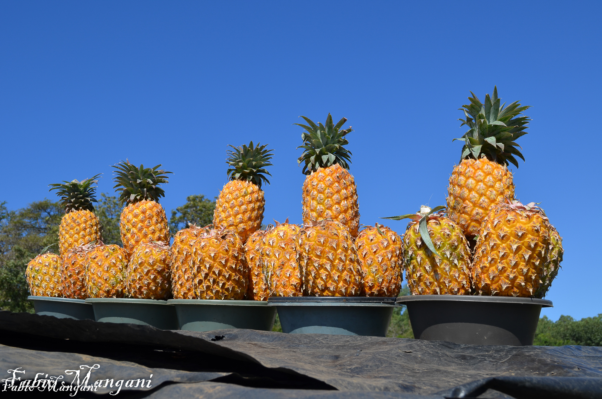 Mercato di Cape Town