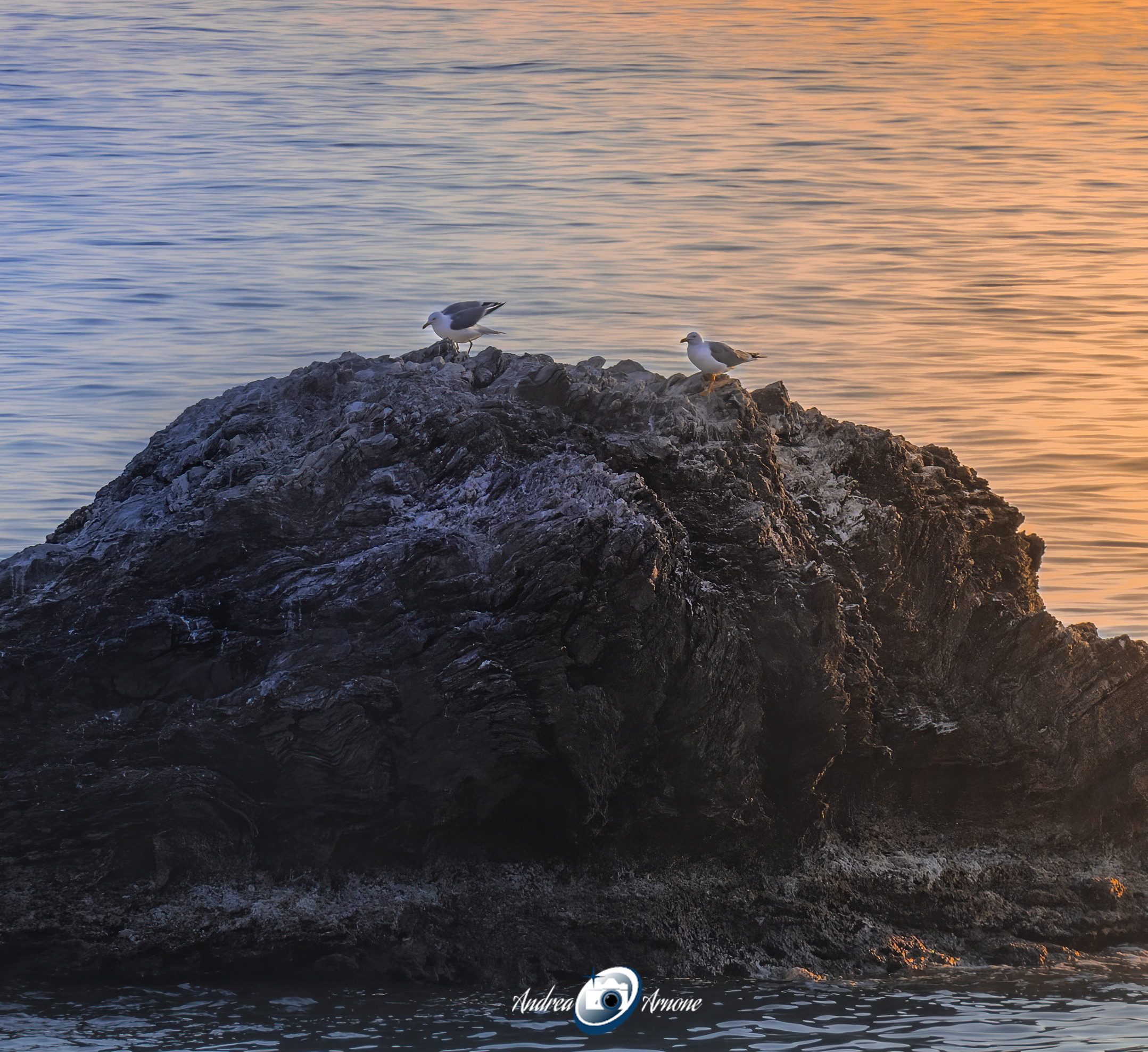 Guardia Piemontese (CS)