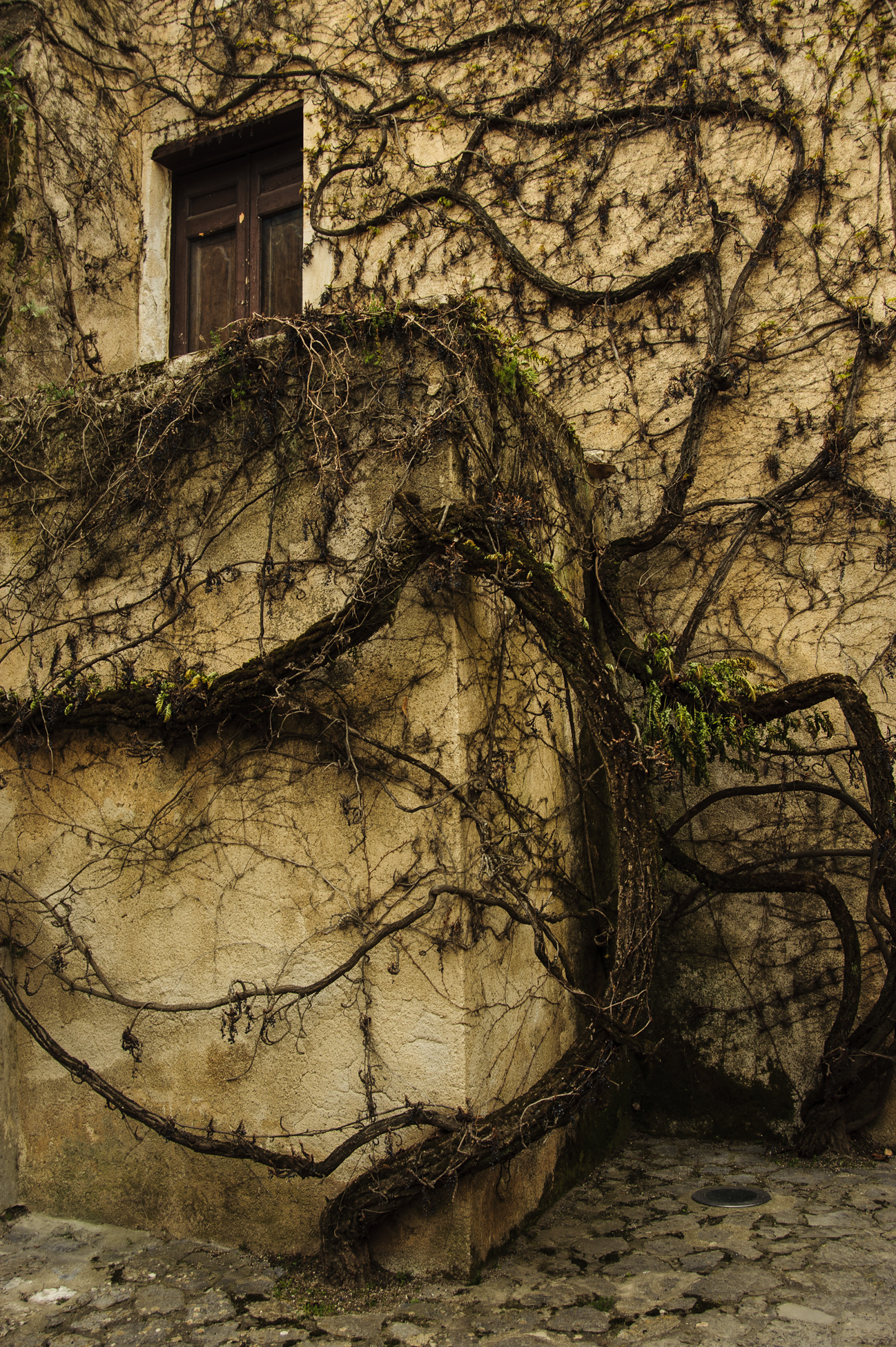 Ravello villa Rufolo
