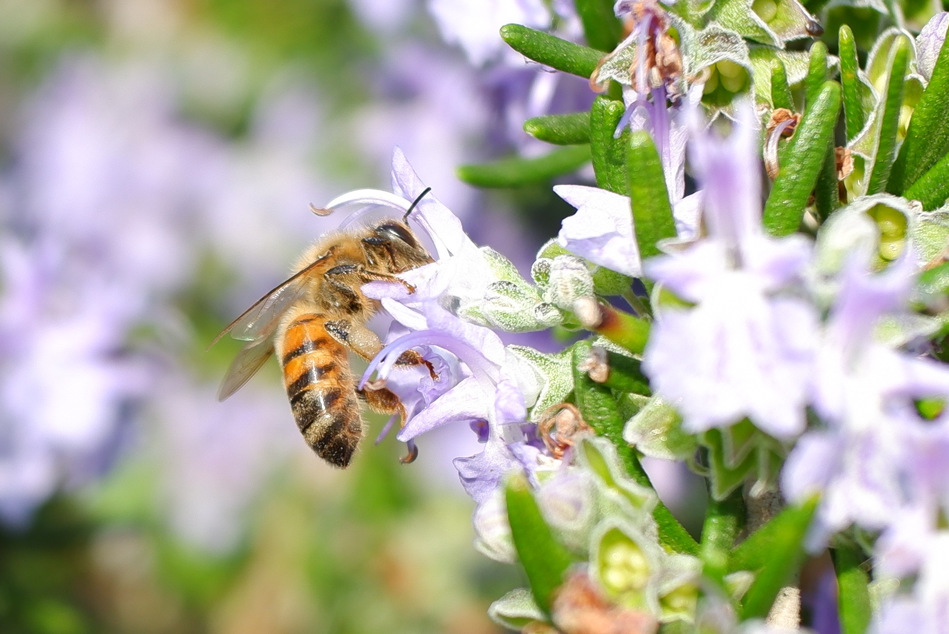 Good job and thank you