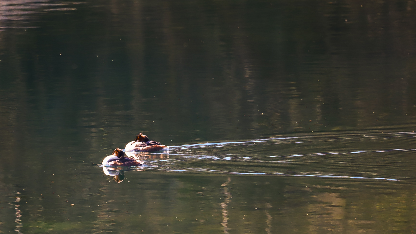 Passeggiata sul fiume