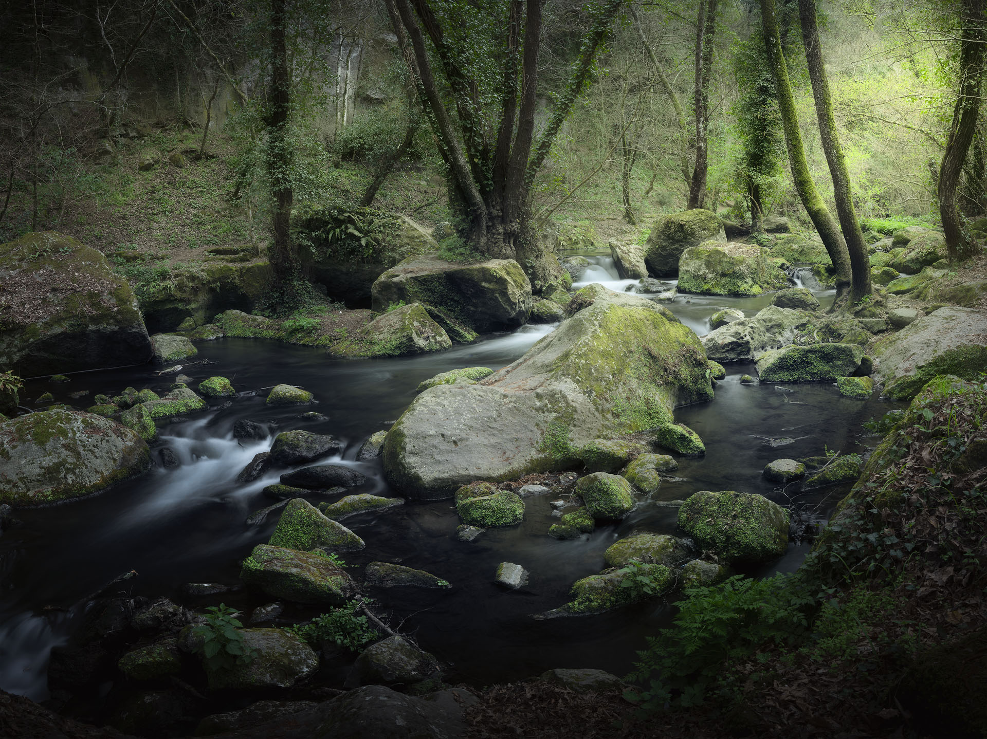 The stream