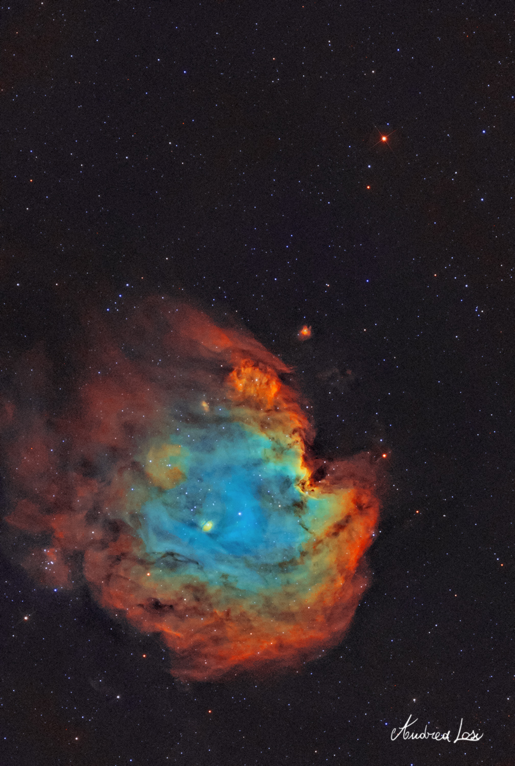 Monkey Head Nebula