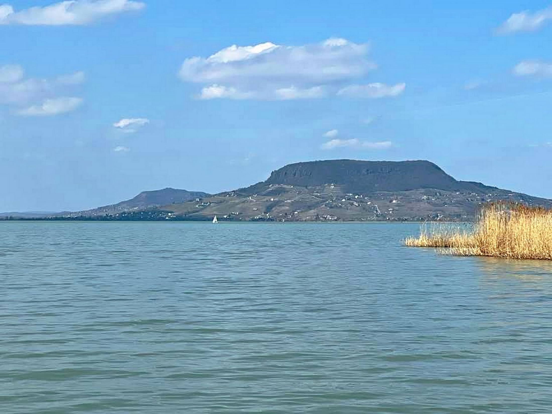 Balaton Lago Badacsony