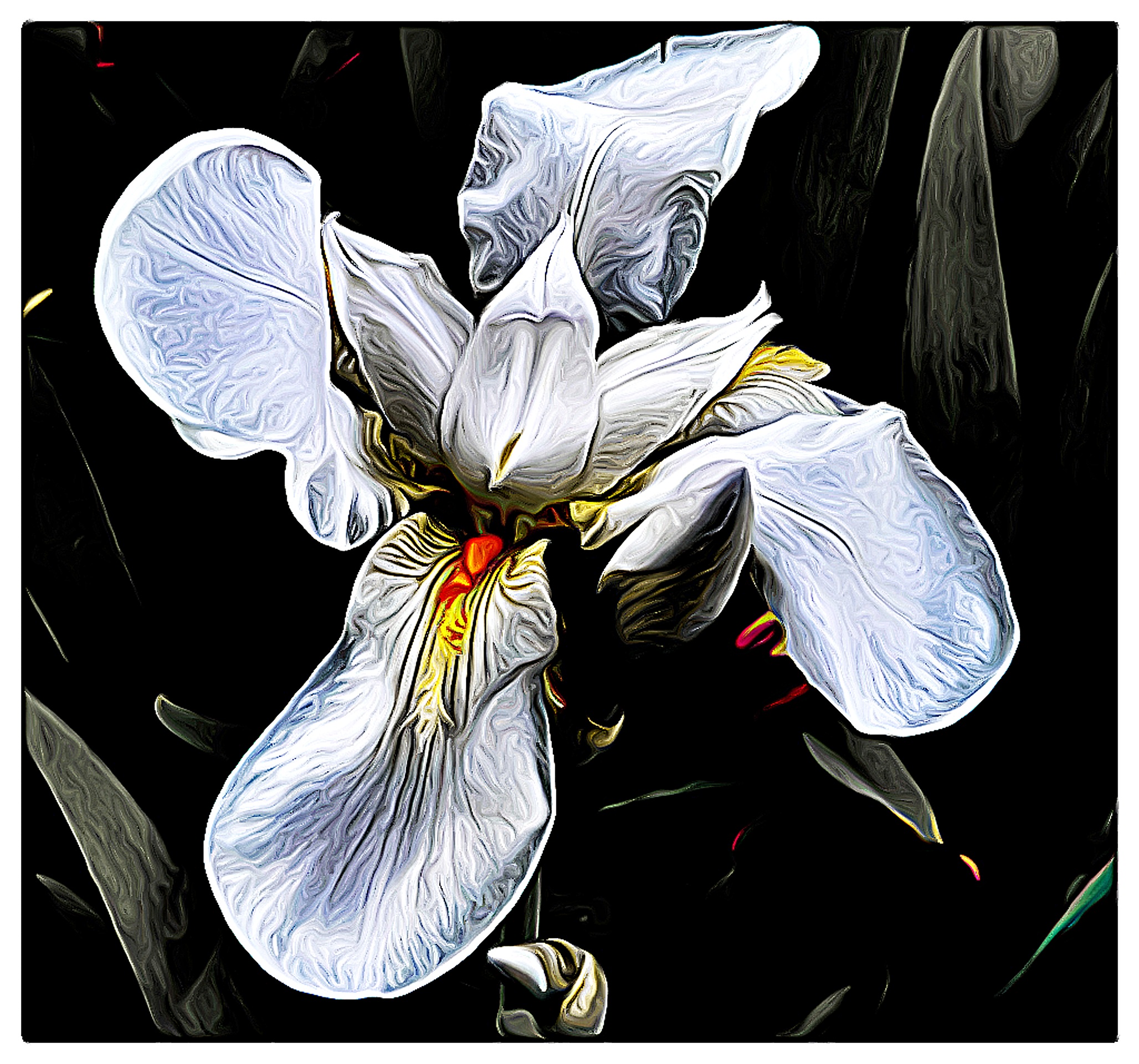 Iris  - Iperrealismo -