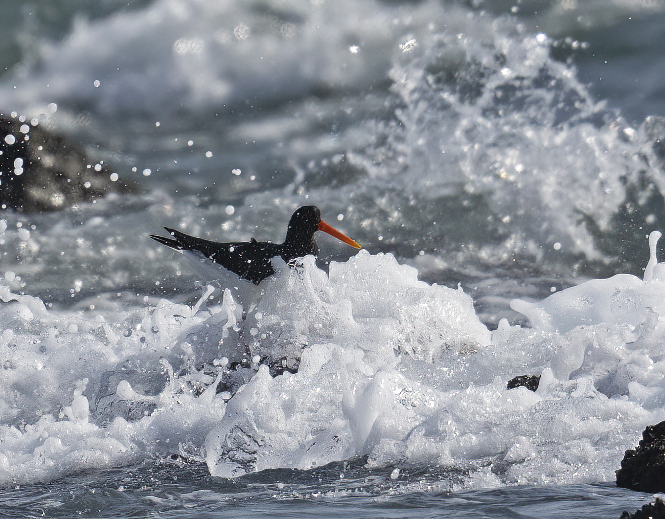 ancorata allo scoglio .. nonostante le onde