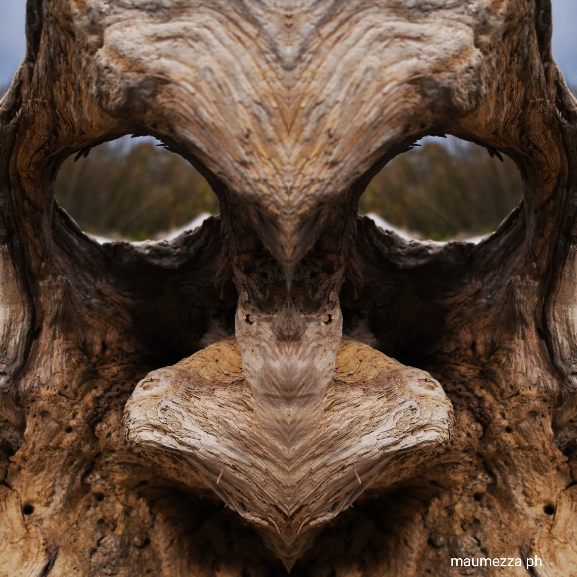 Faccia di legno