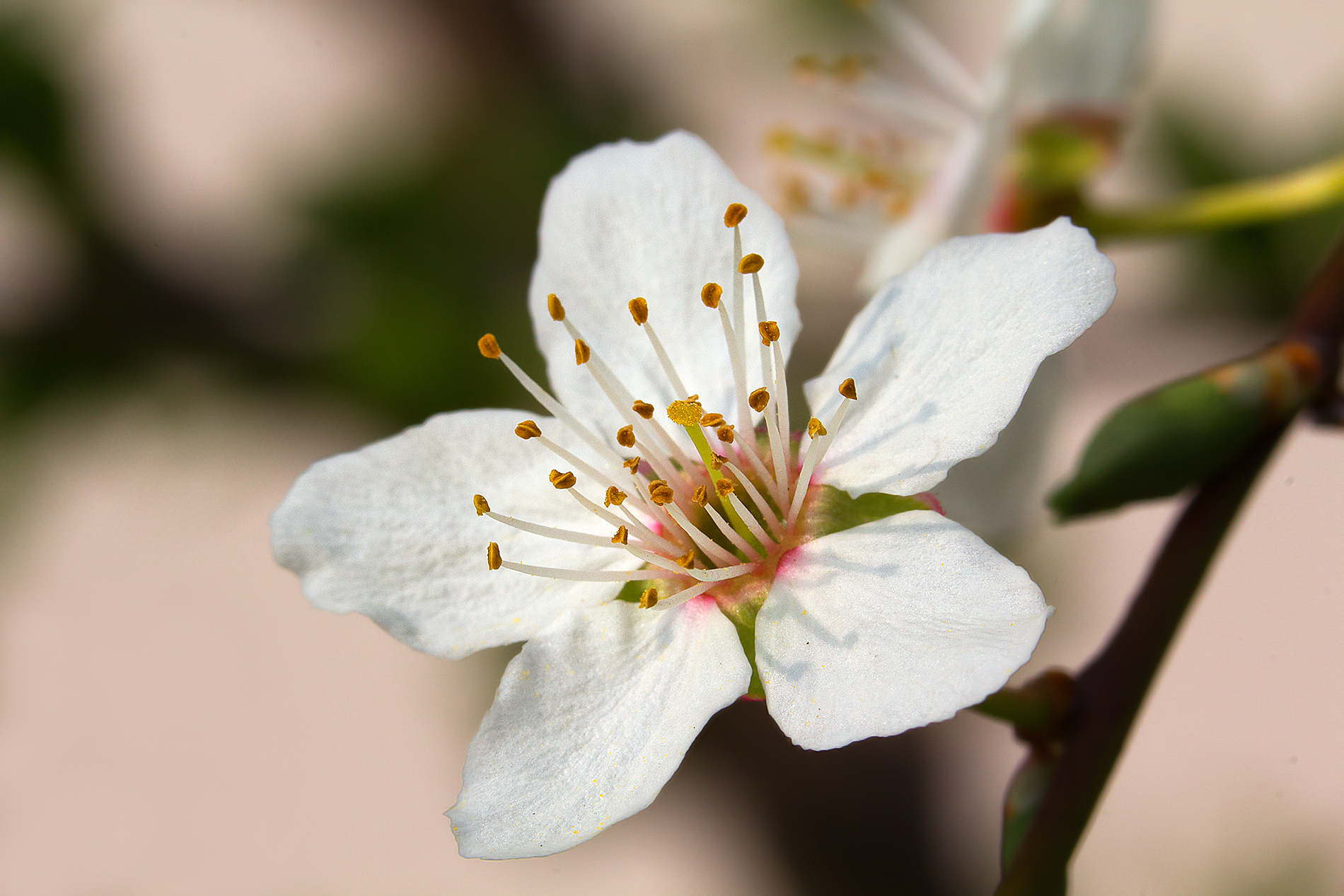 Weather don't stop the nature