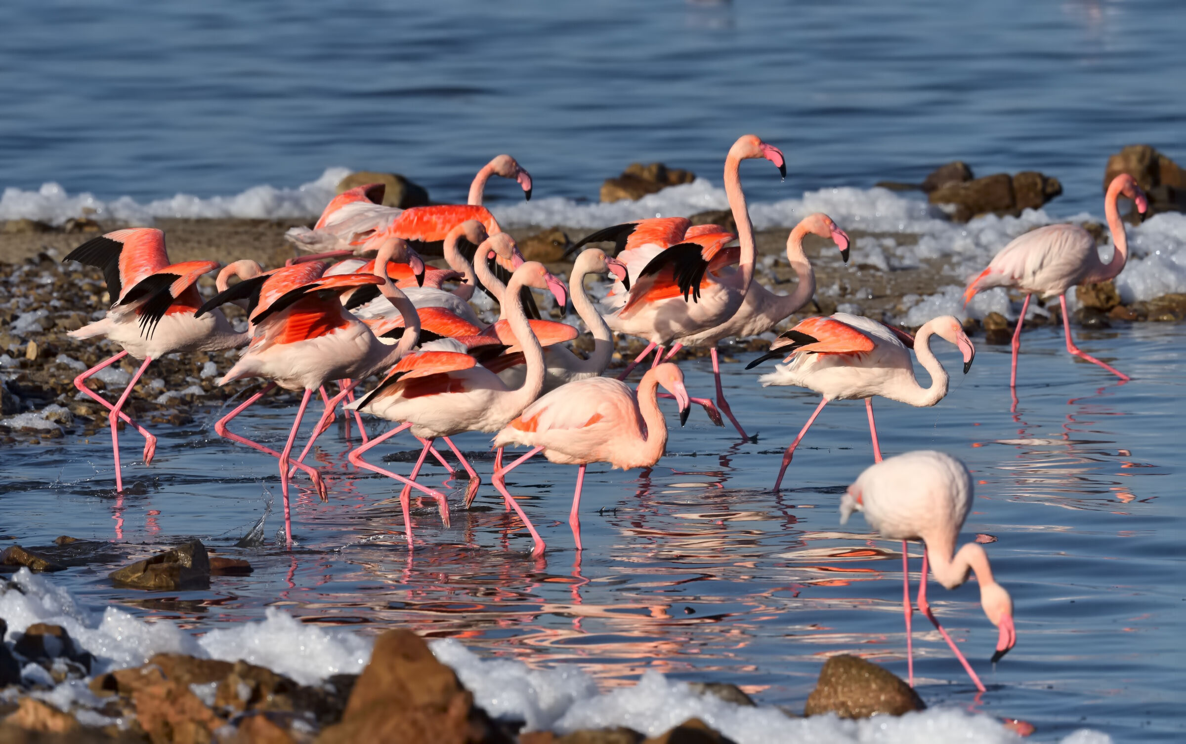 The colors of the lagoon