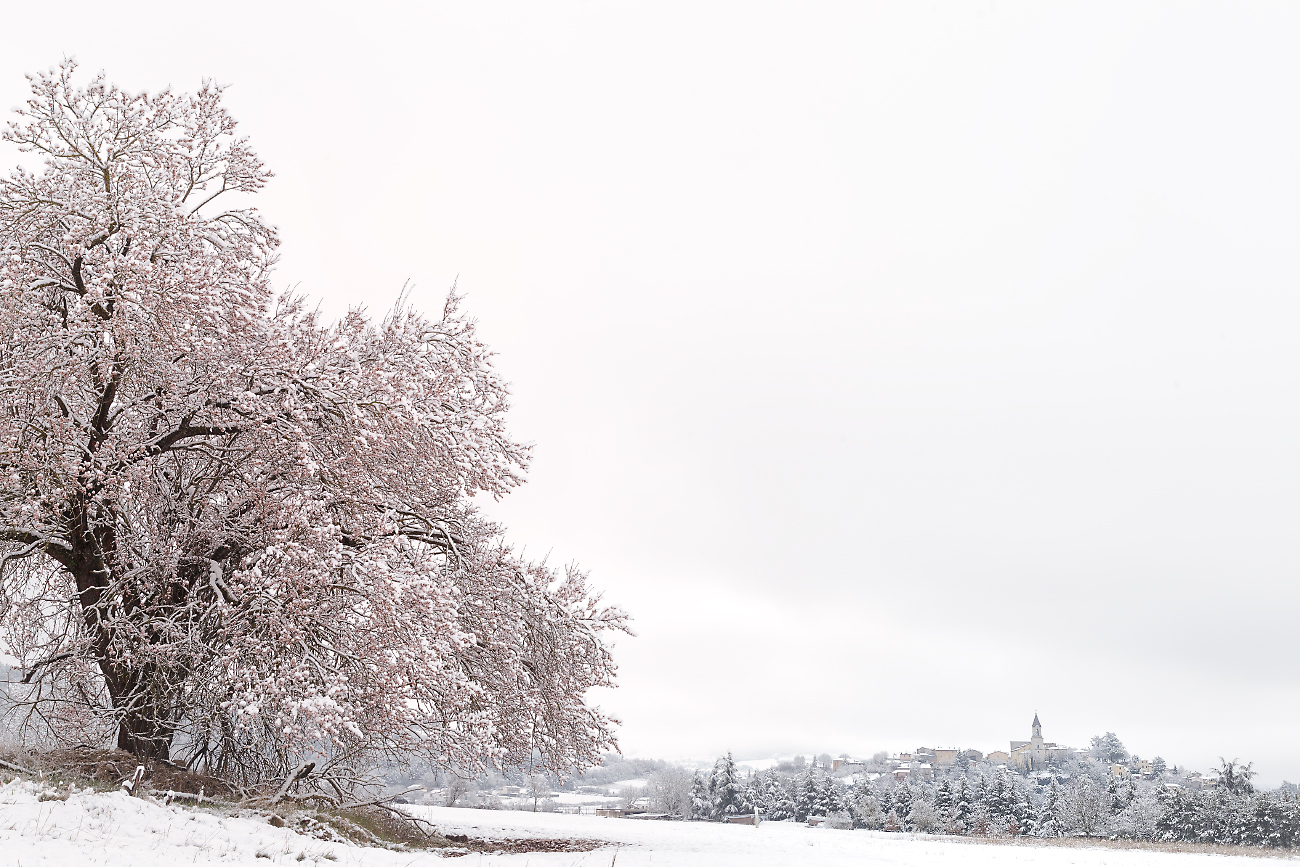 spring snowfall