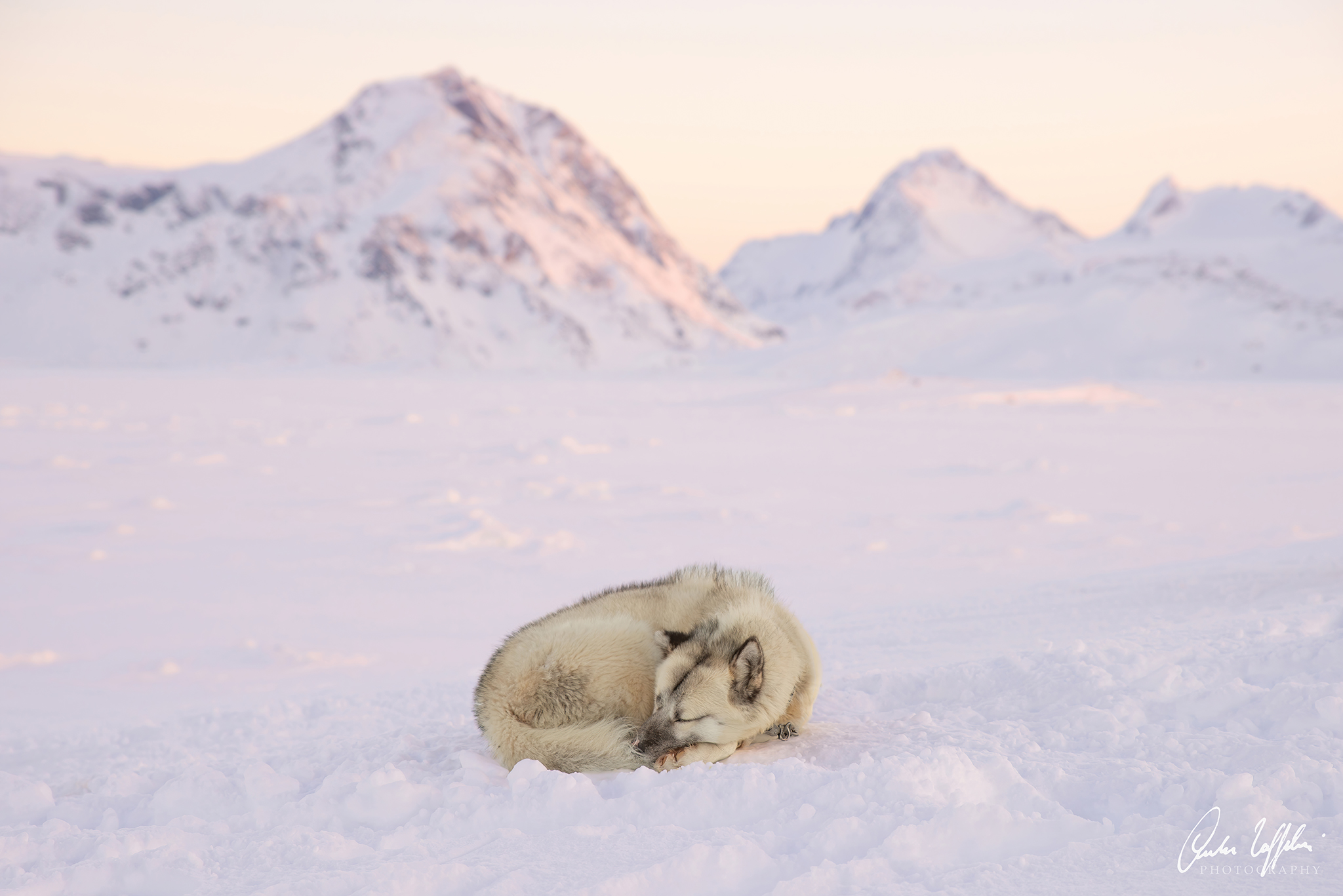 The well-deserved rest