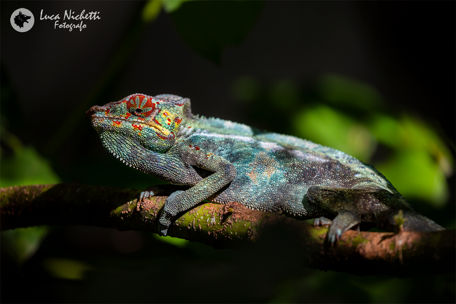 A killer in the shadow