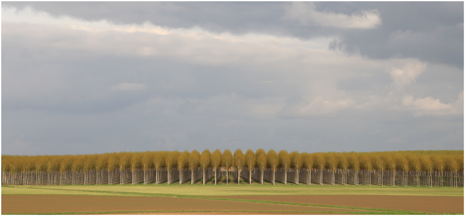 ||||||||||||||||||||||||