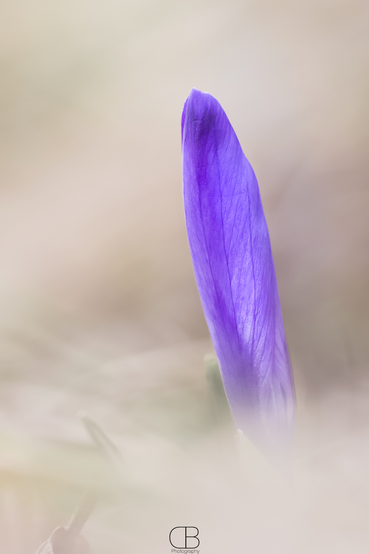 Lightness