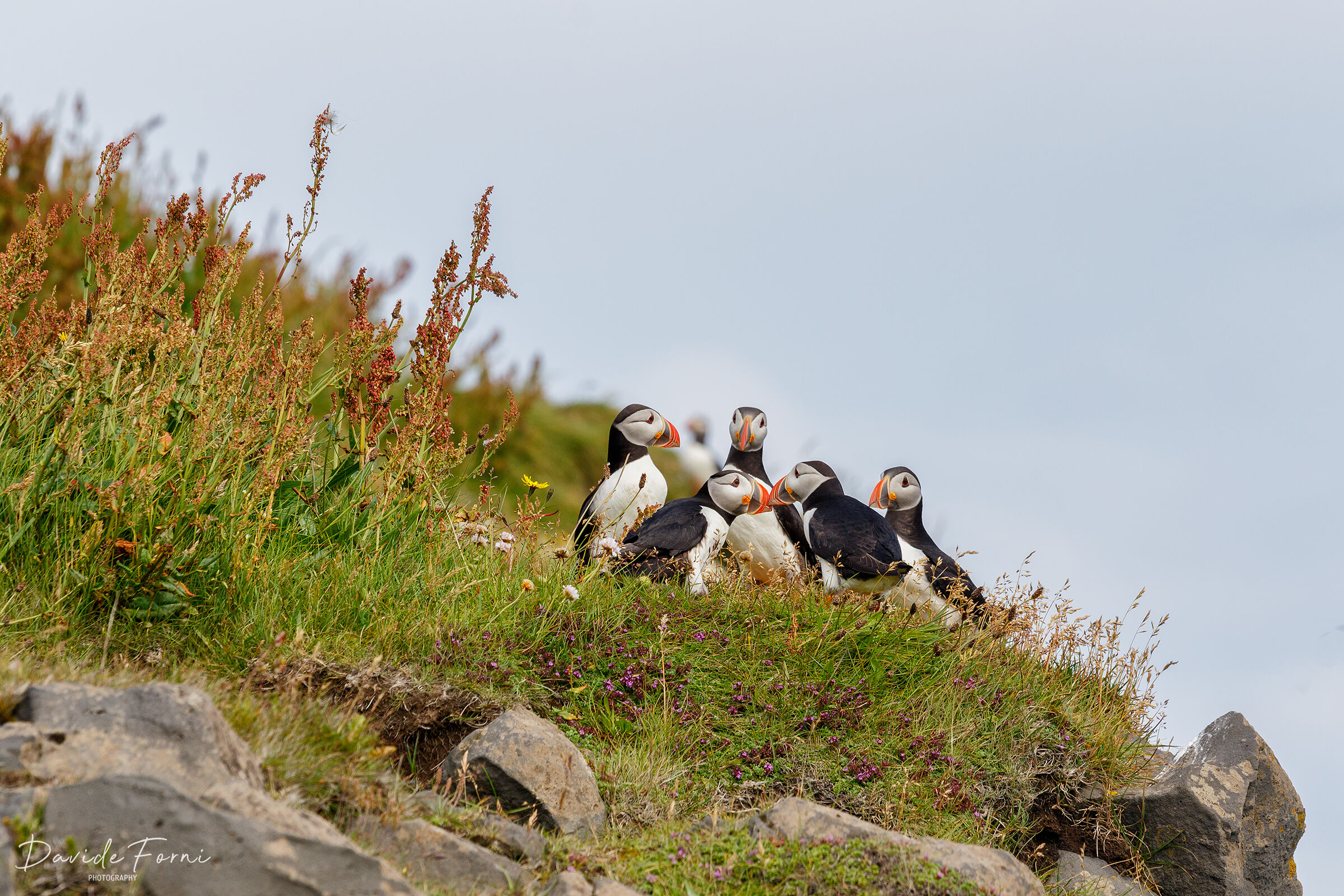 Quattro chiacchiere tra amici a Reynisfjara...