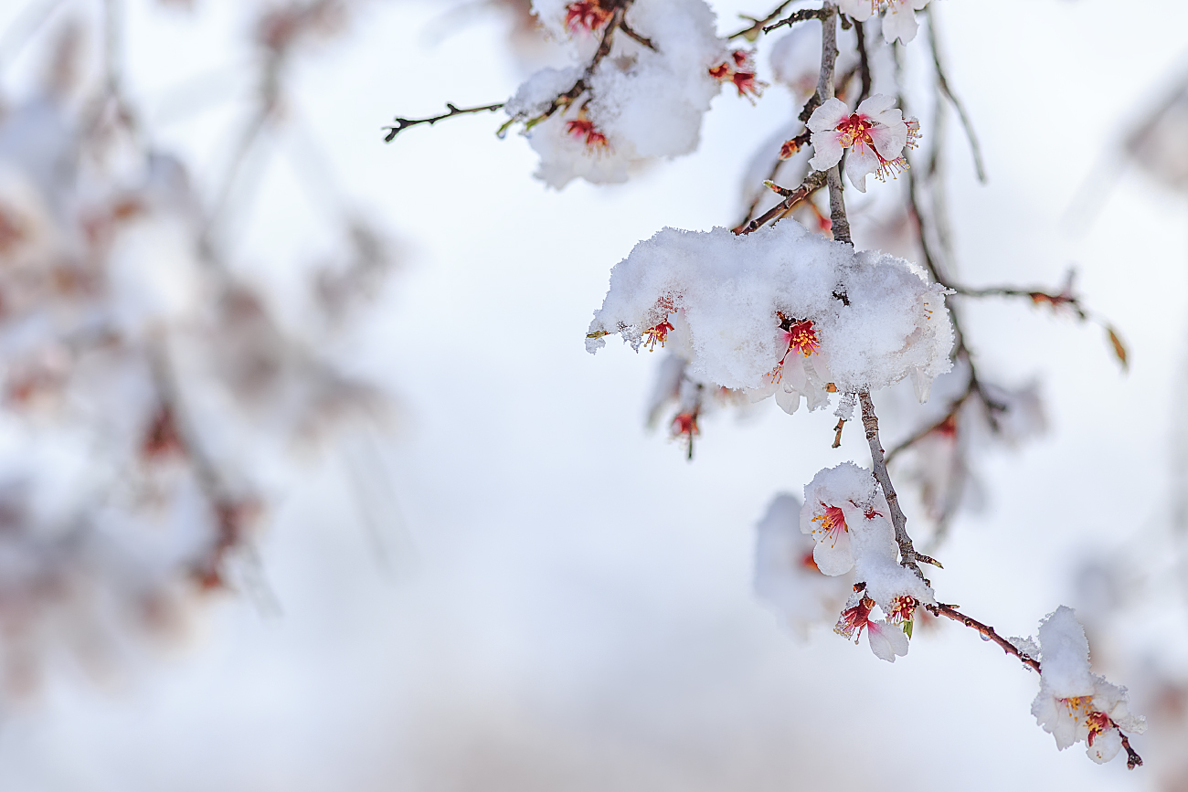 nevicata primaverile3