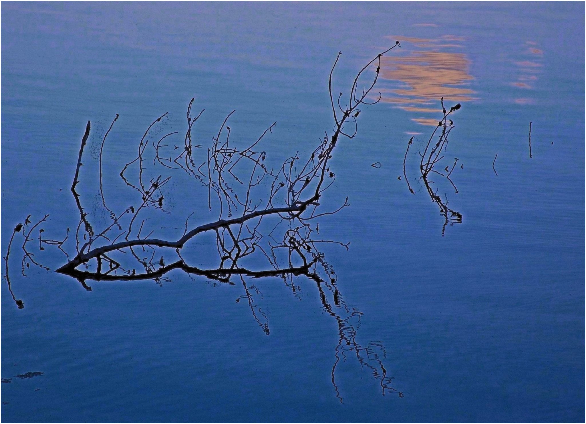Lo schiaccianoci di Madre natura