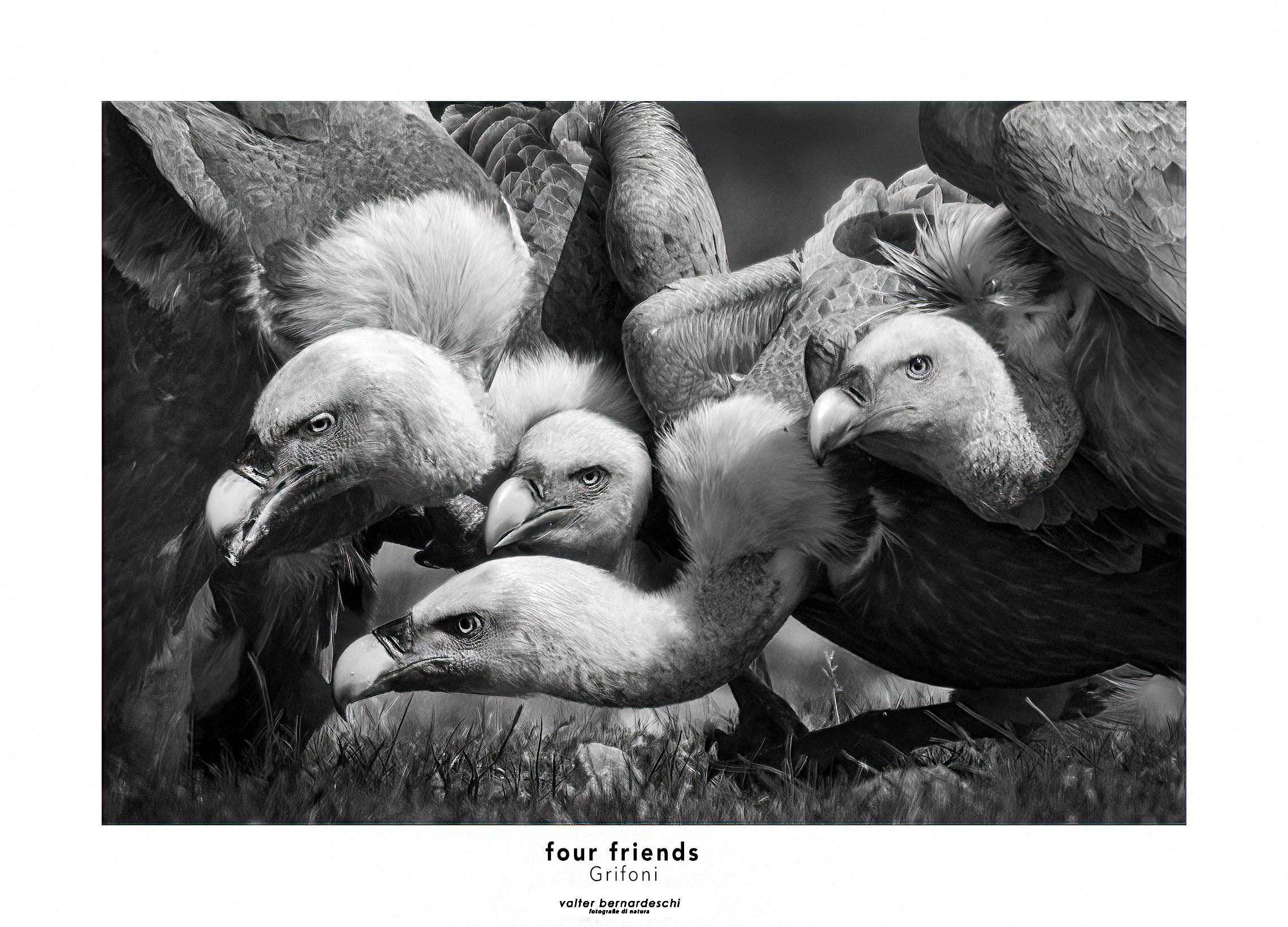 Four Friends