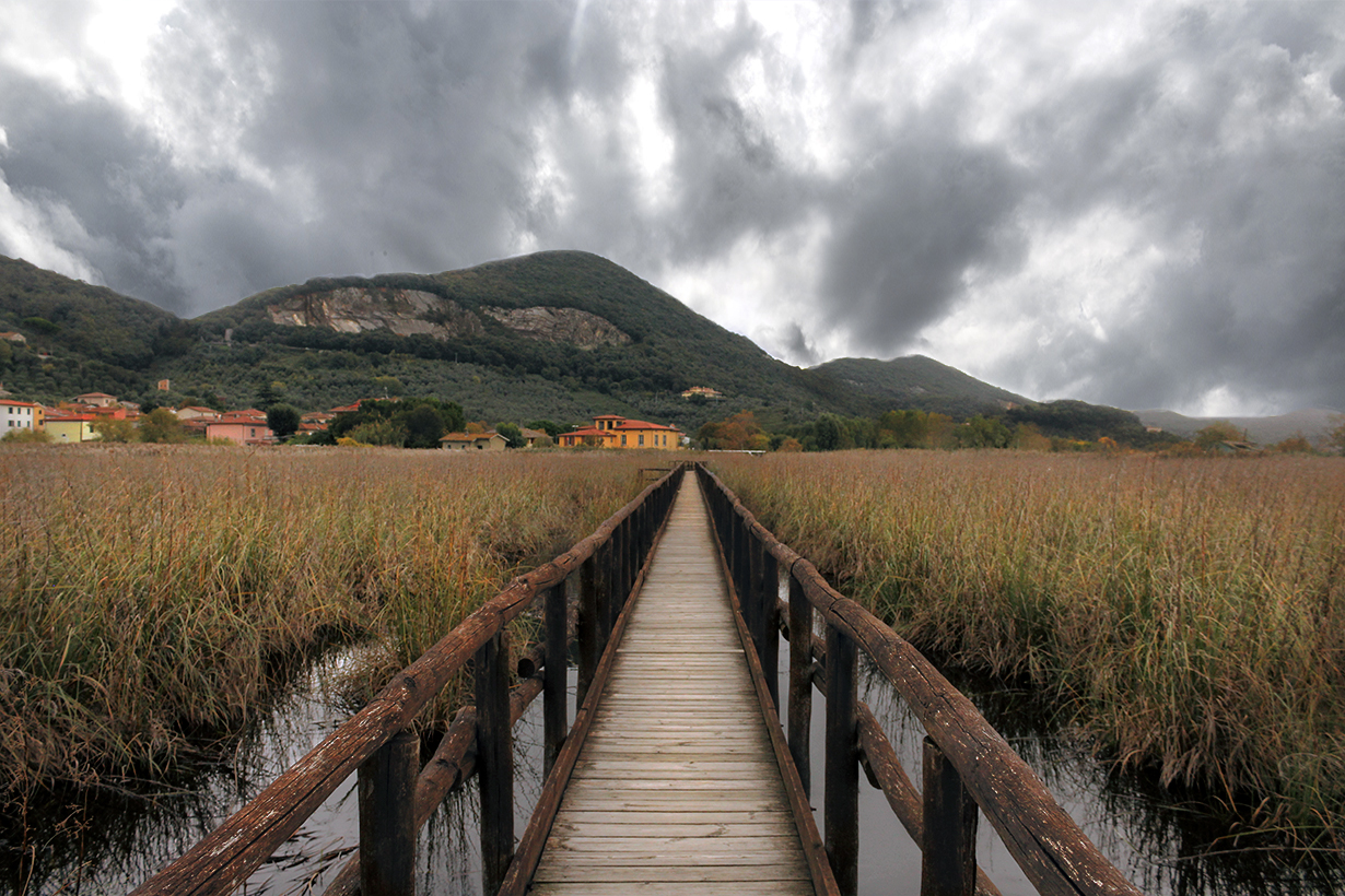 Massaciuccoli ( Italy