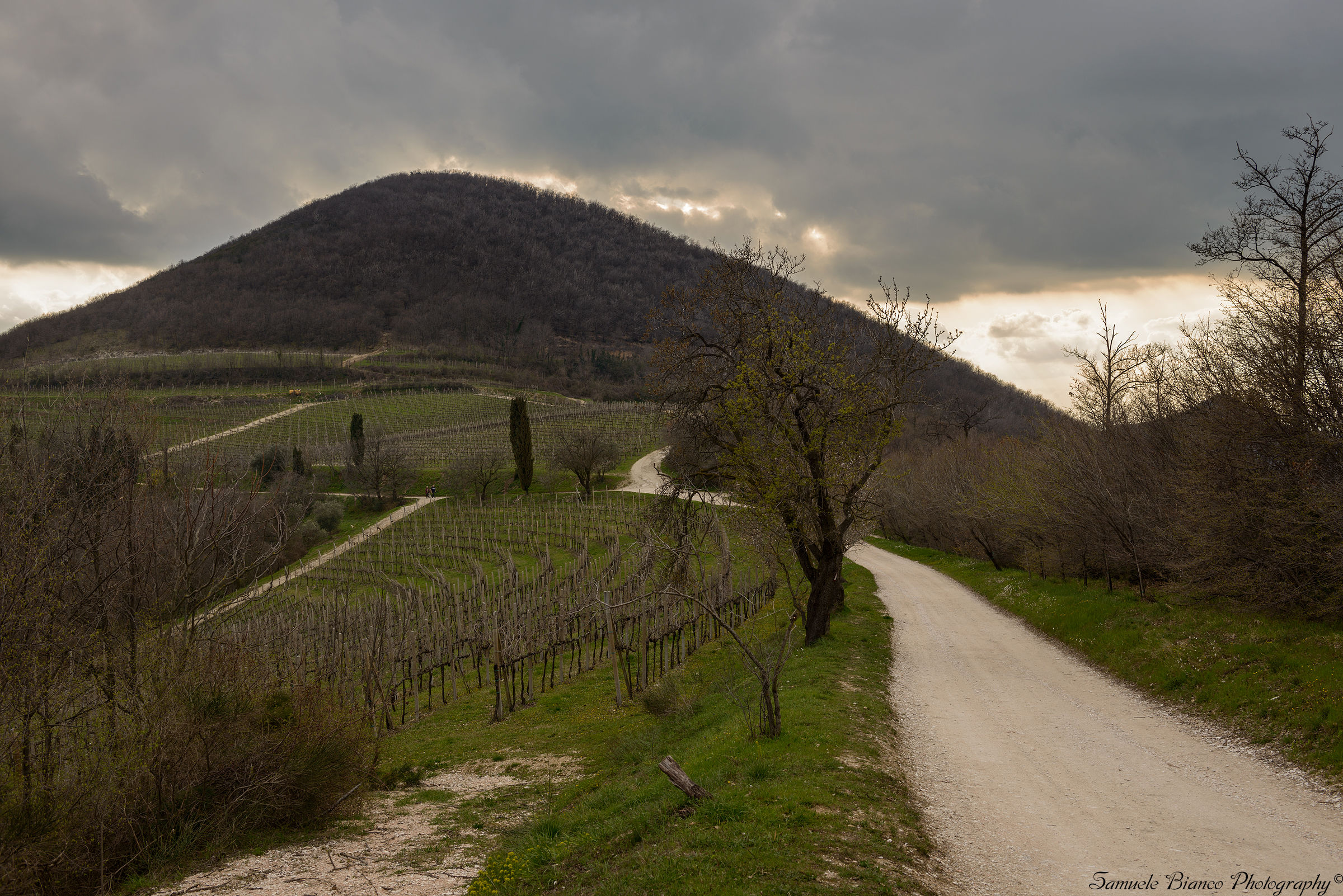 Towards sunset on M. Fasolo