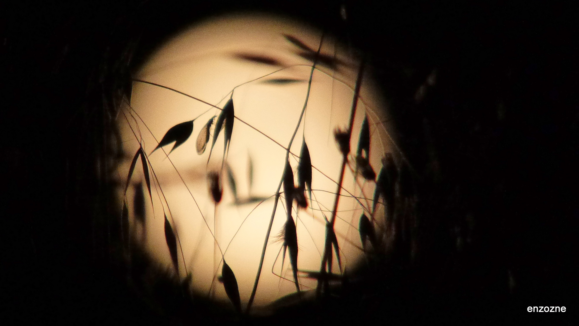 la luna - https://www.youtube.com/watch?v=tCk8heLE4tU