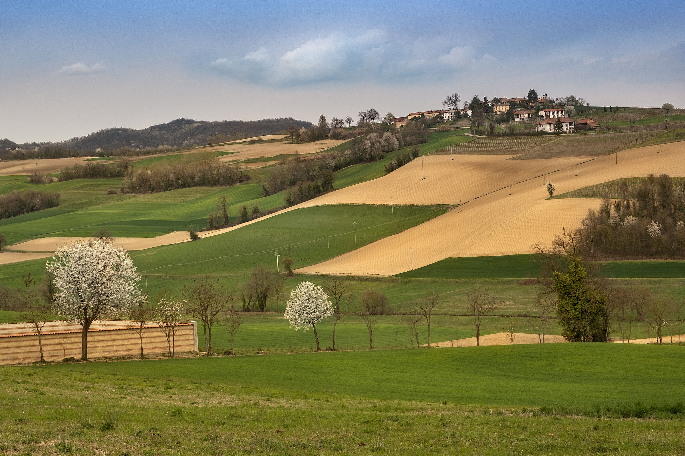 Monferrato
