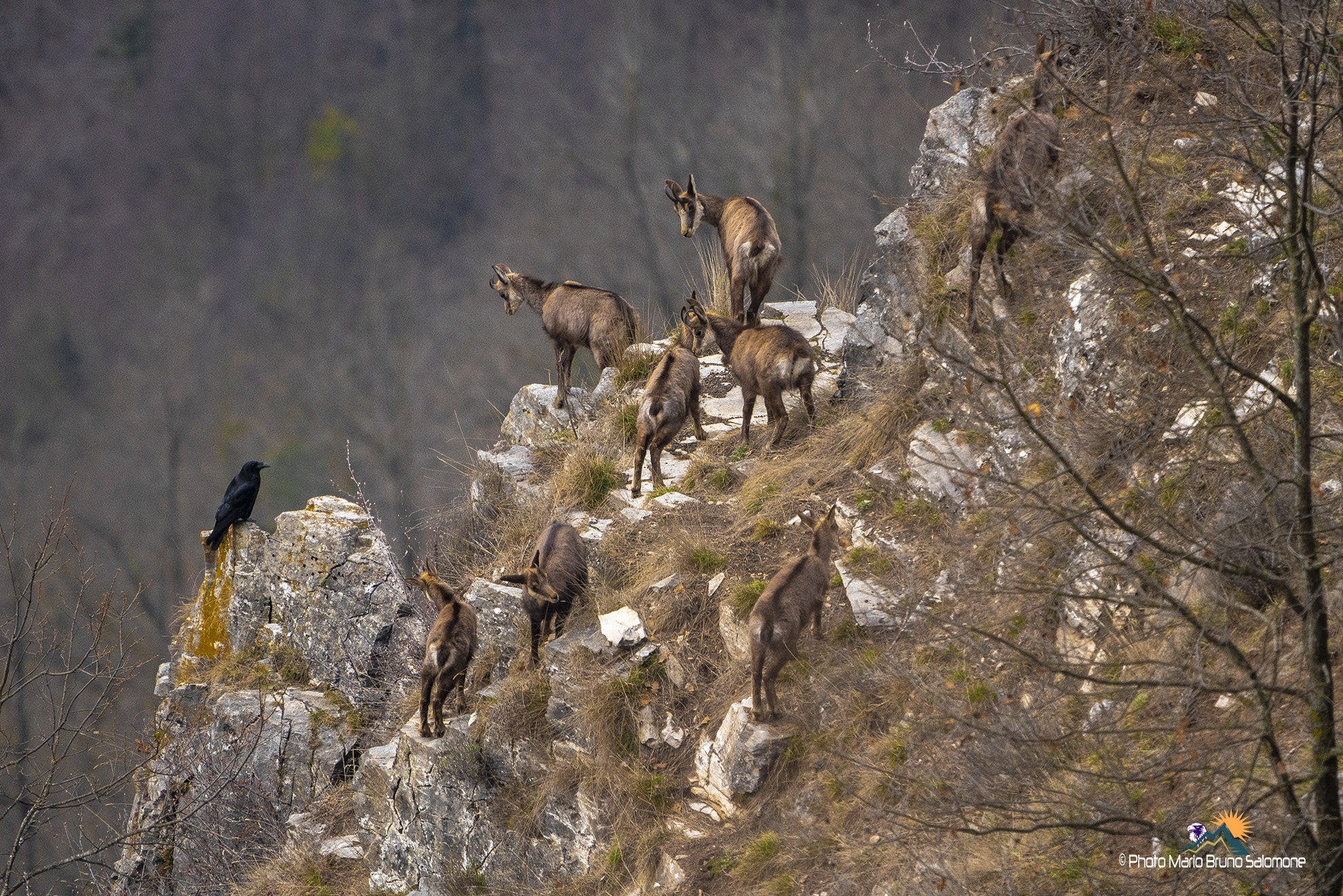 "confronti" chissà cosa si diranno