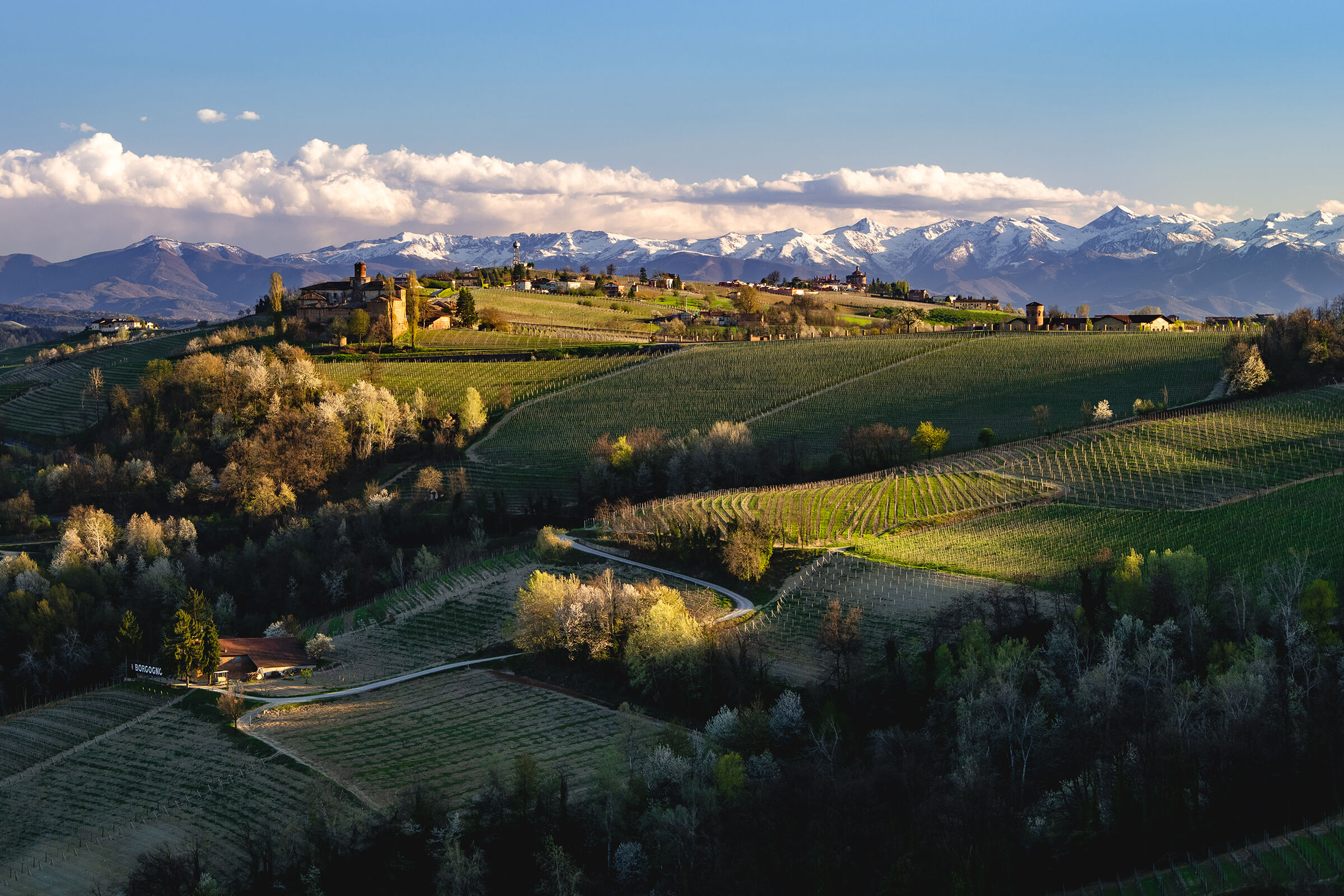 Dolci colline di Langa