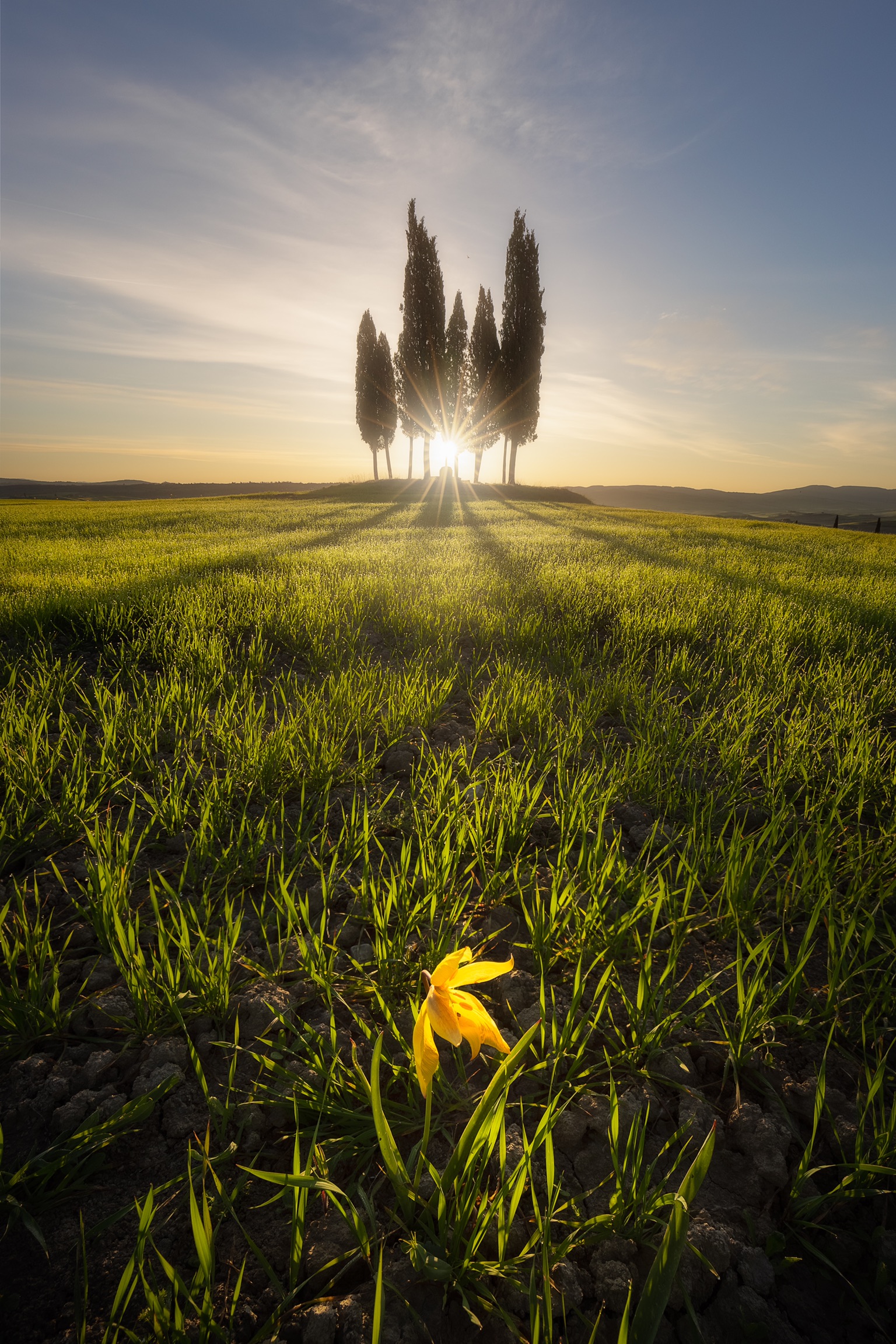 Un'alba da non dimenticare